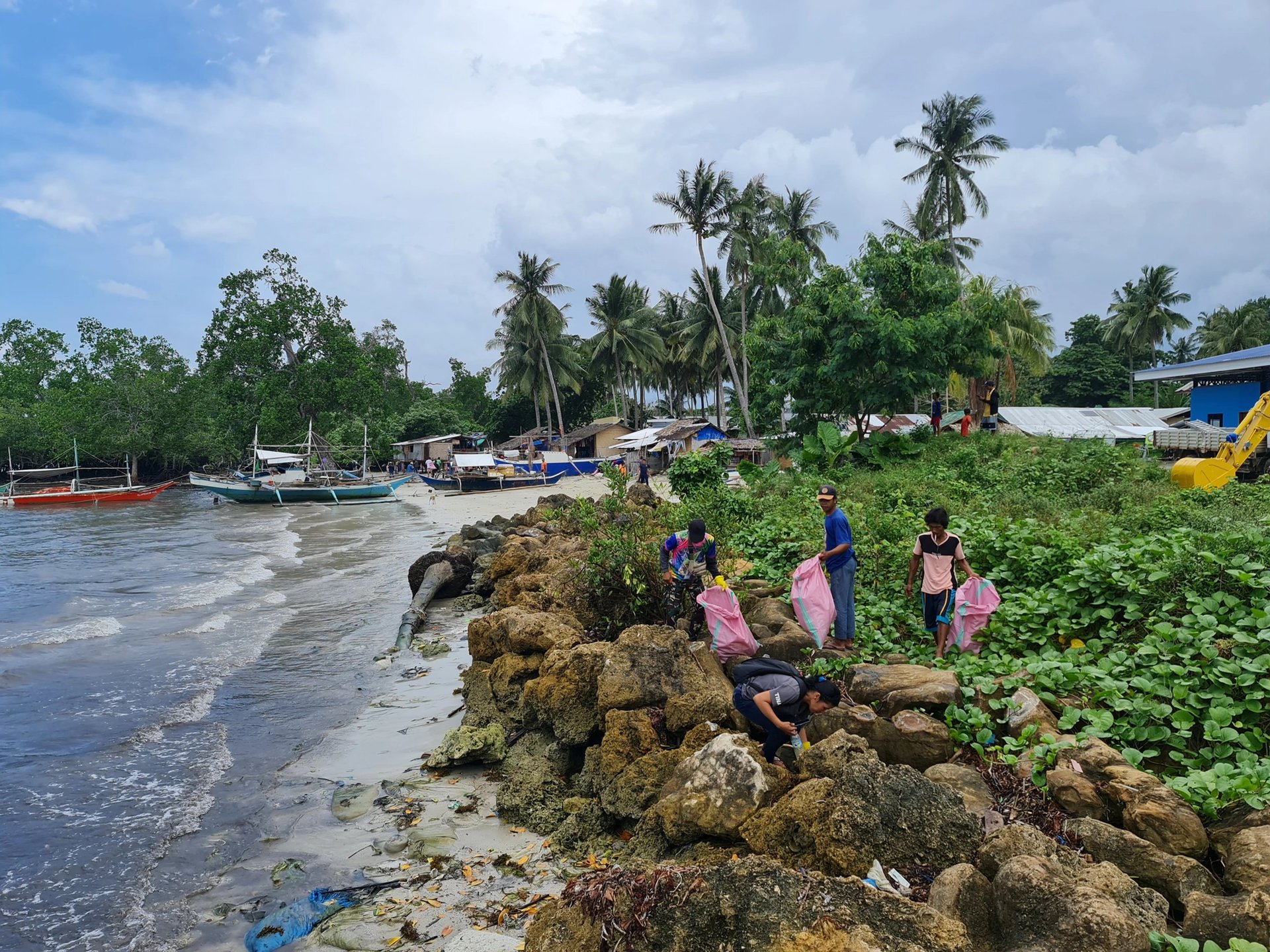green plant in close up photography