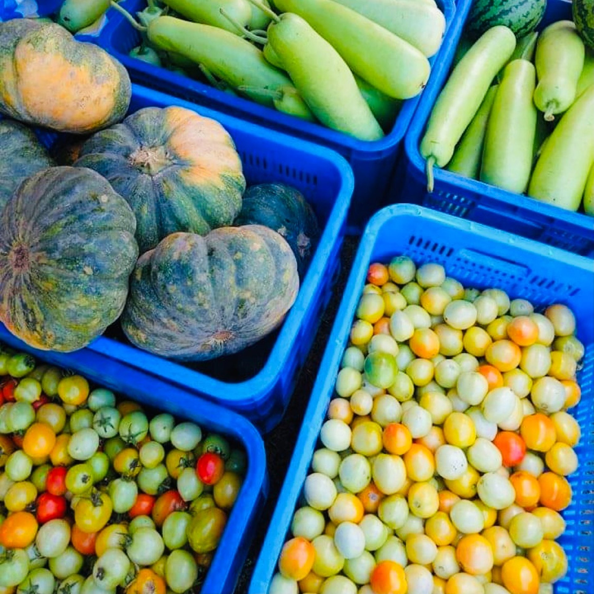 an abstract blue background with wavy lines