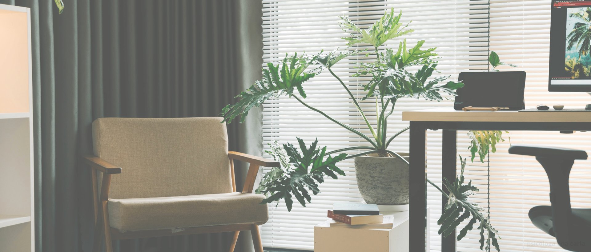 gray computer monitor