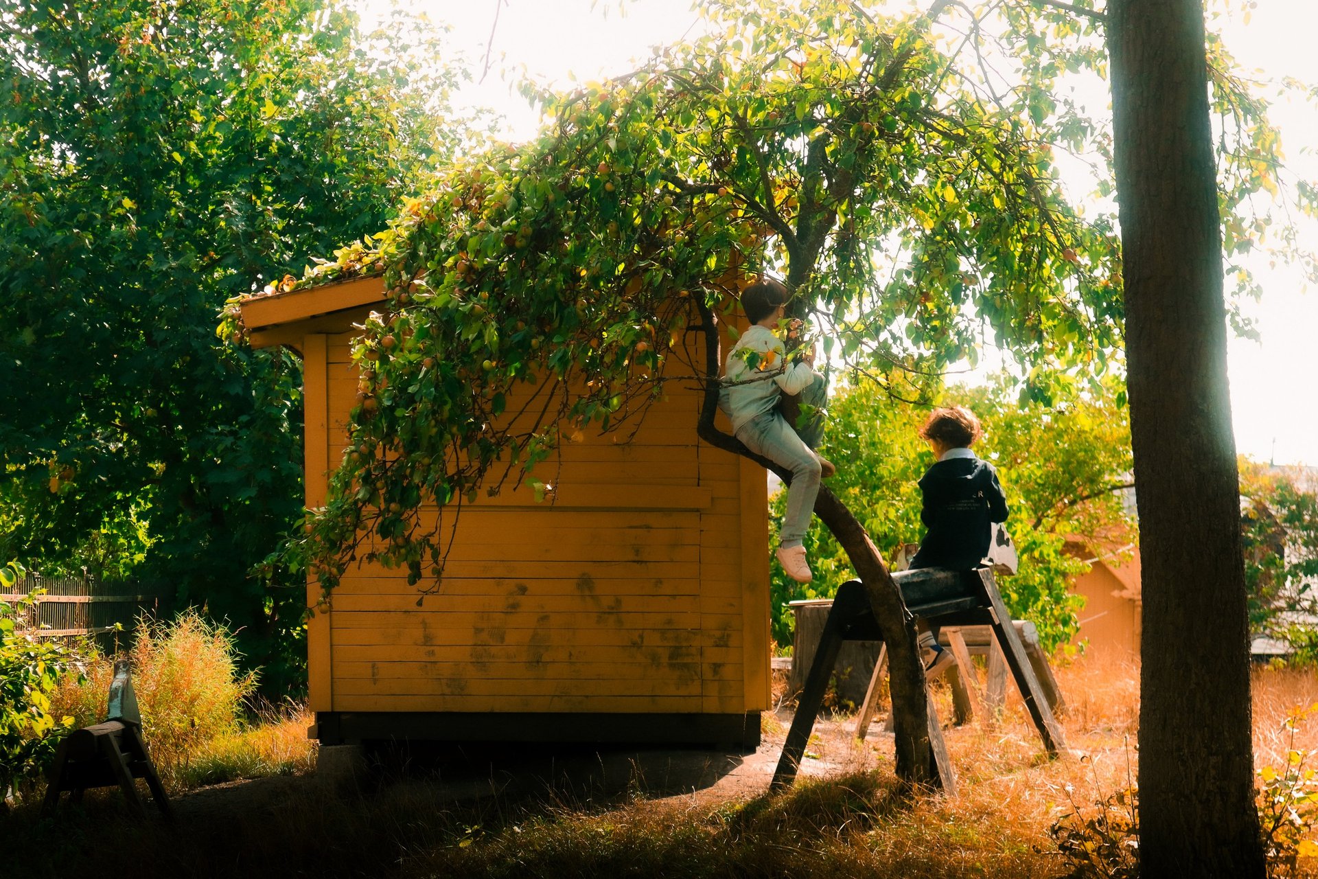woman holding dried flower