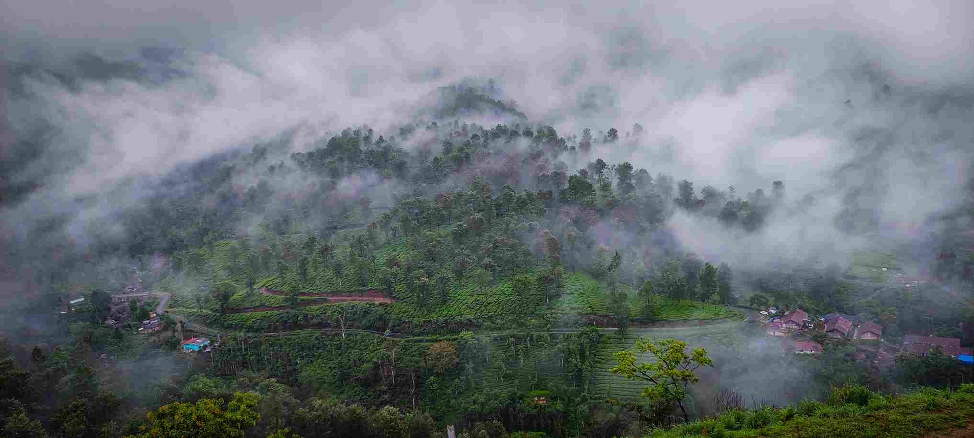 black and white bed linen