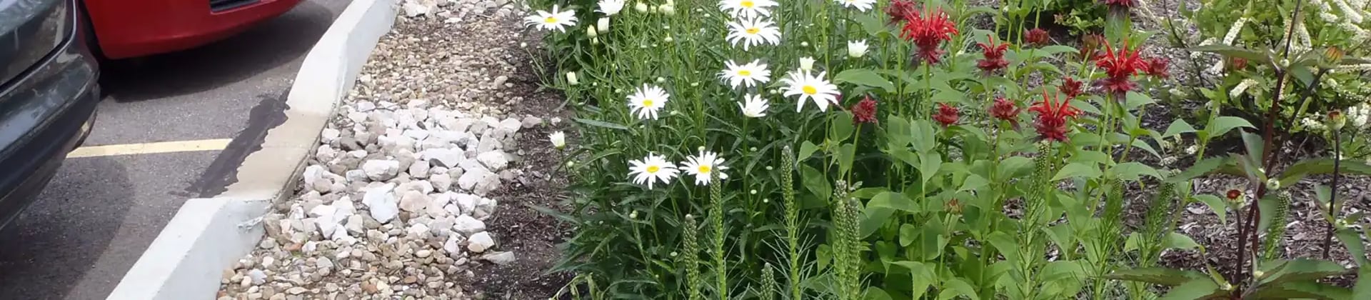 black and brown leather padded tub sofa