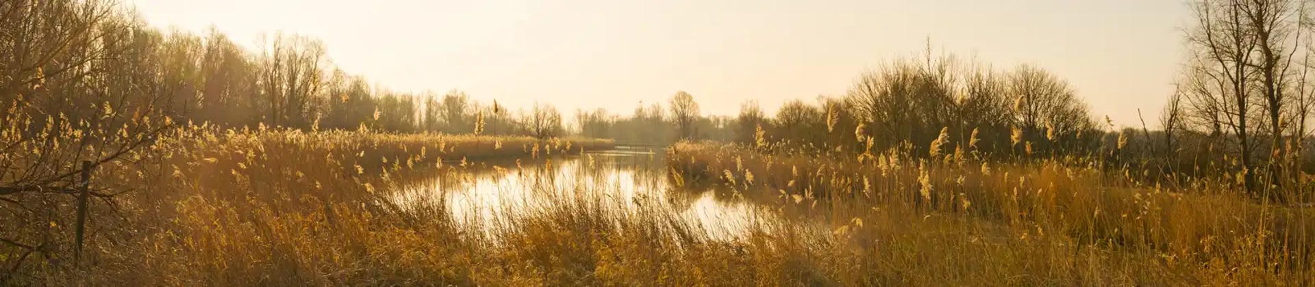 black and brown leather padded tub sofa