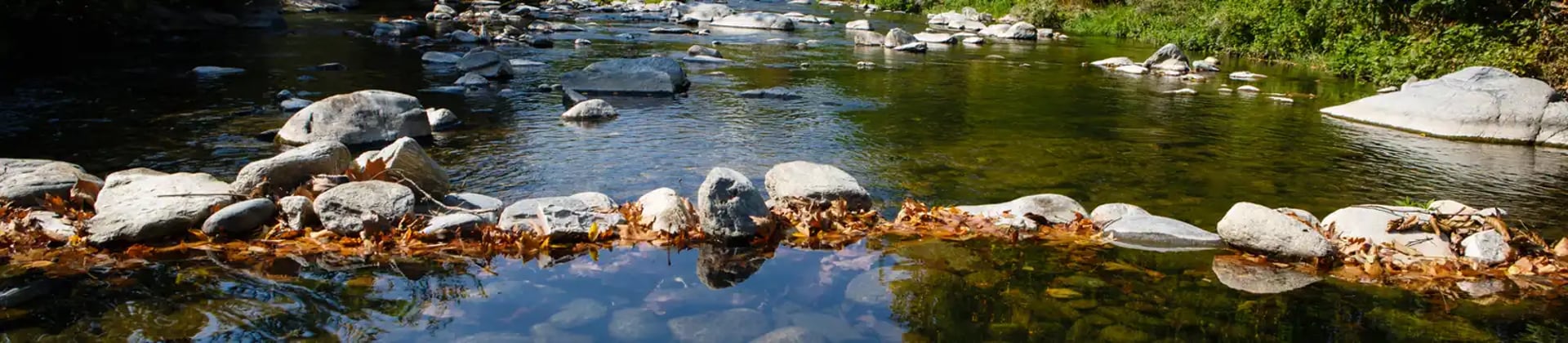 black and brown leather padded tub sofa