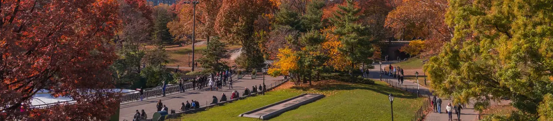 black and brown leather padded tub sofa