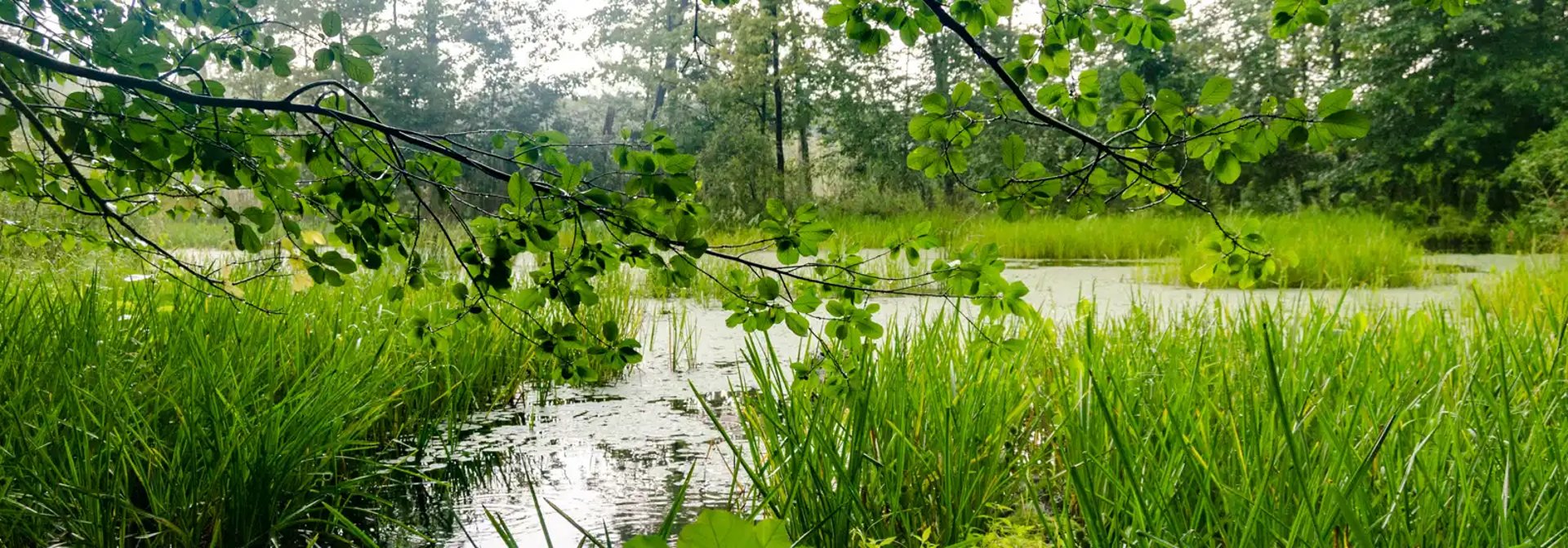 black and brown leather padded tub sofa