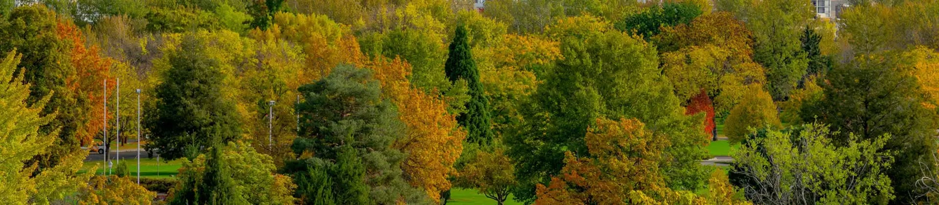 black and brown leather padded tub sofa