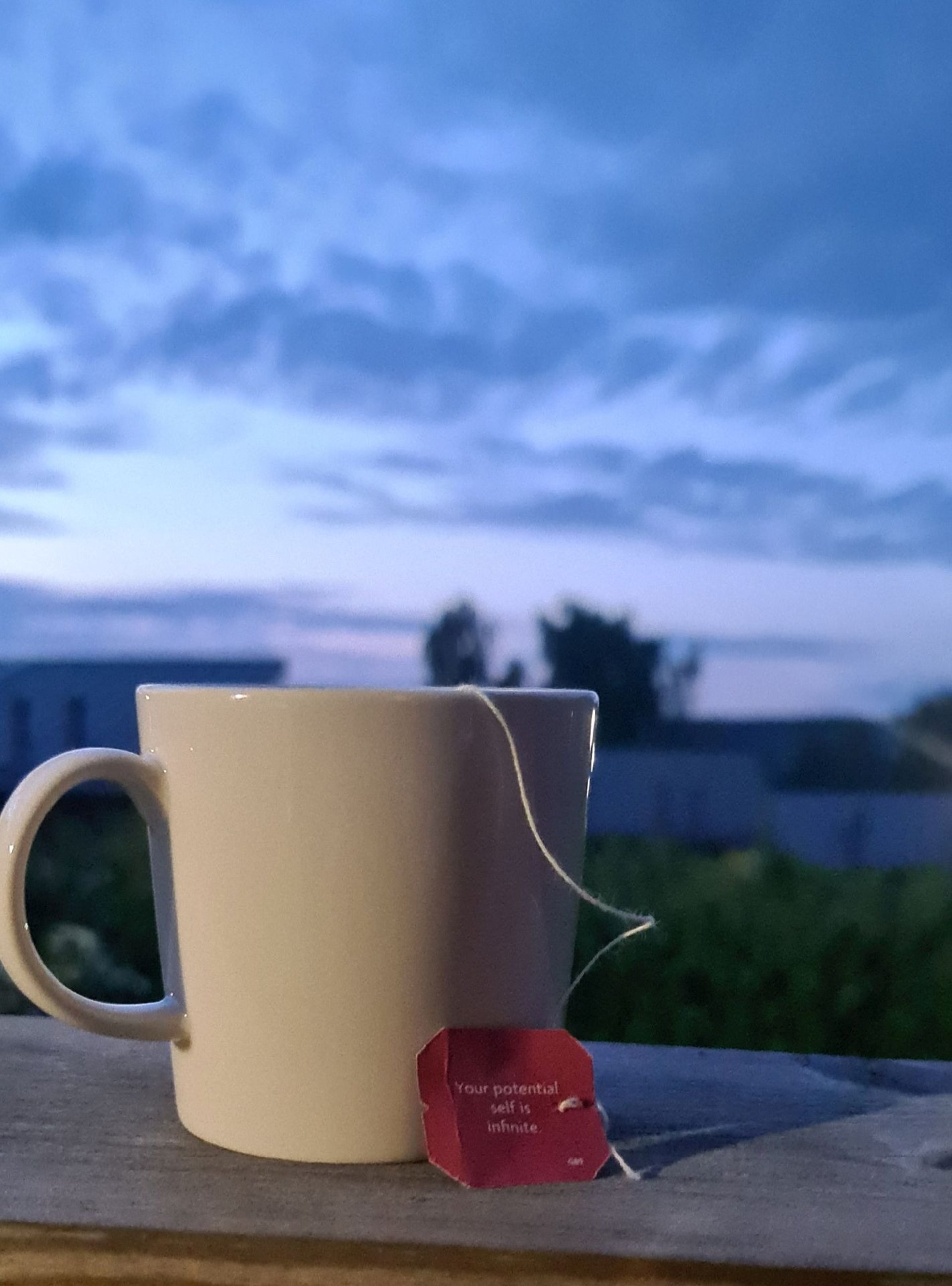 gray computer monitor