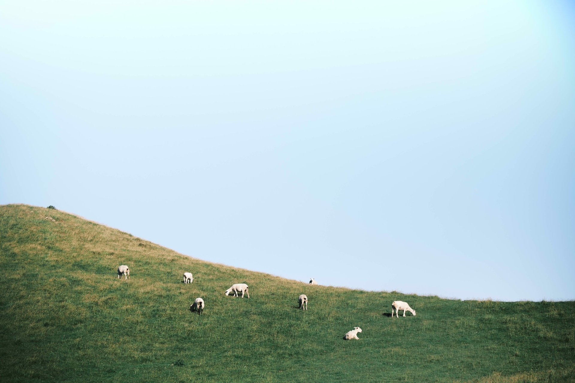 an abstract photo of a curved building with a blue sky in the background