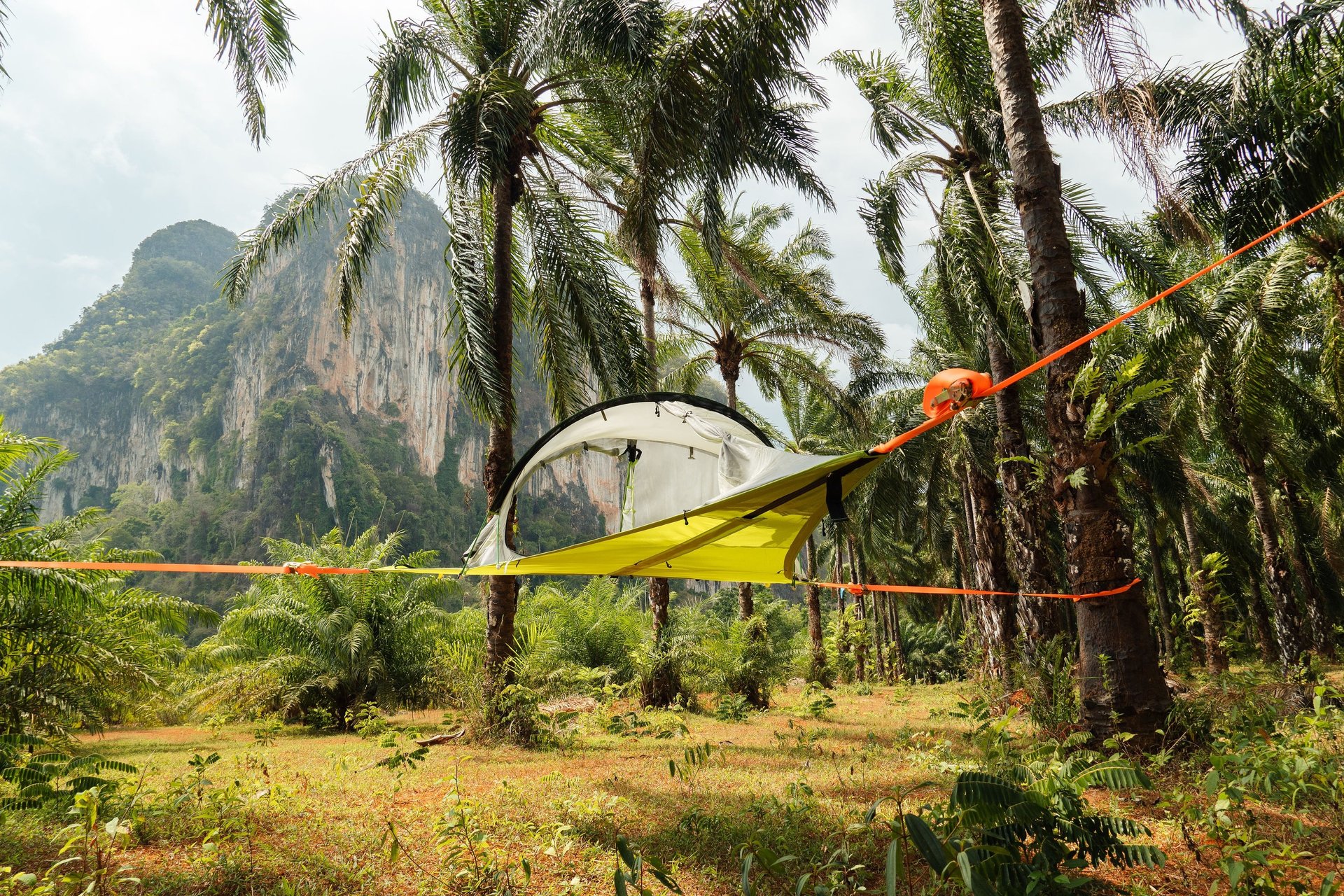 woman holding dried flower