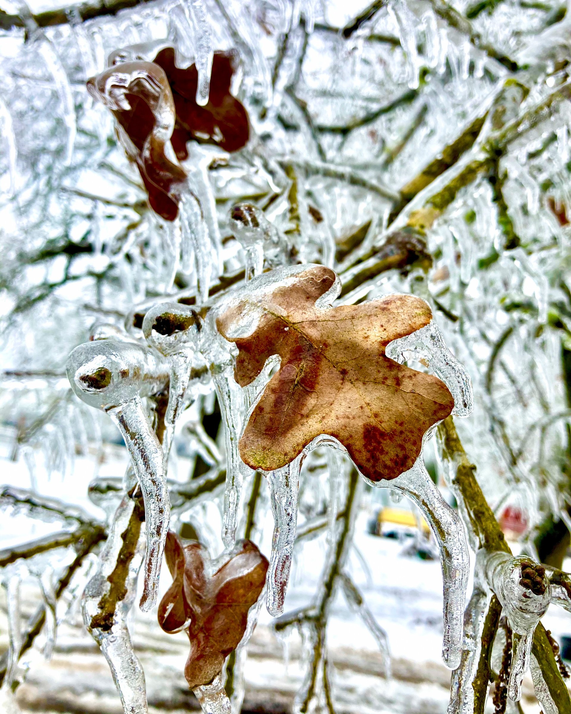 gray computer monitor