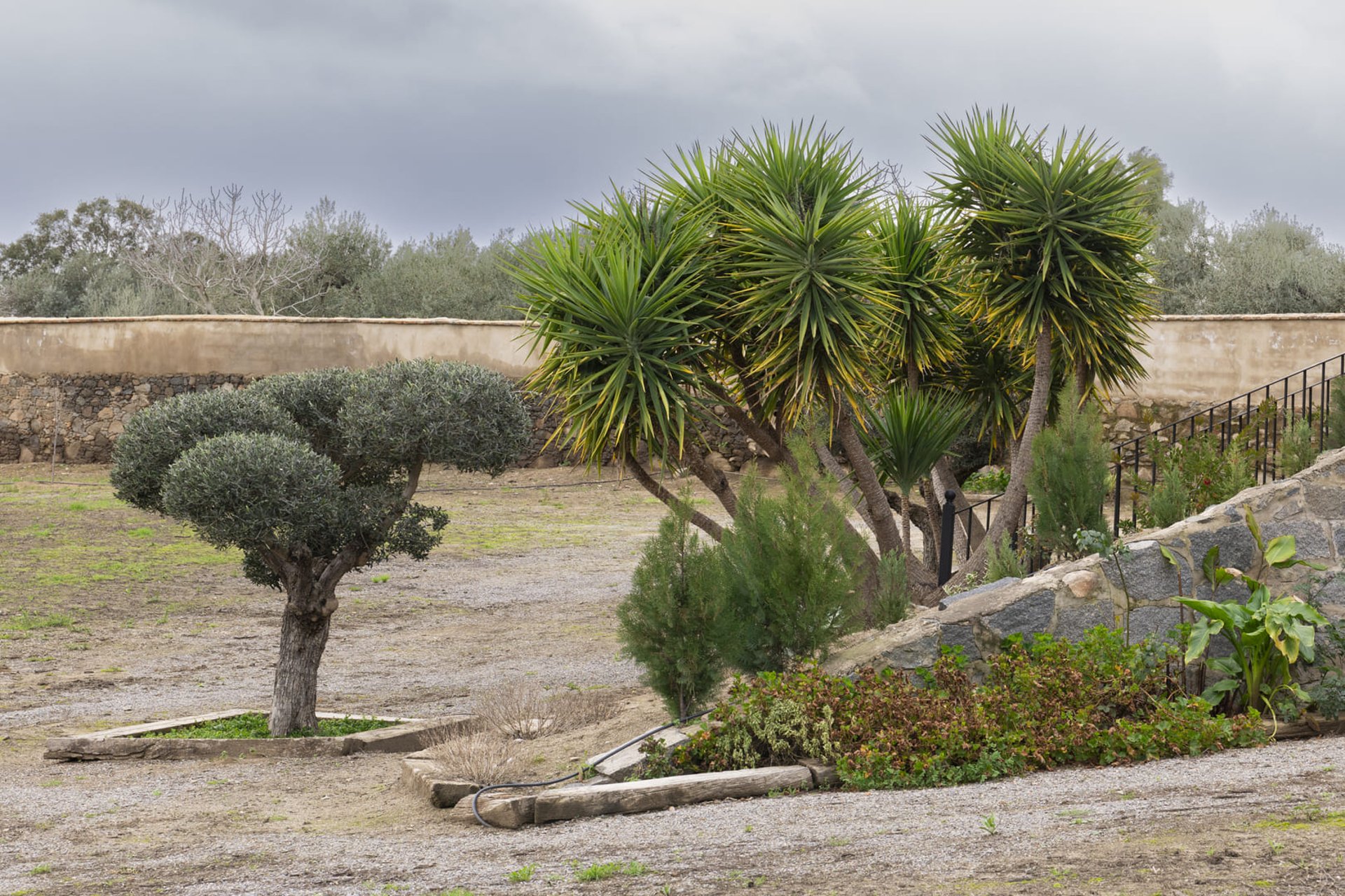 woman wearing yellow long-sleeved dress under white clouds and blue sky during daytime