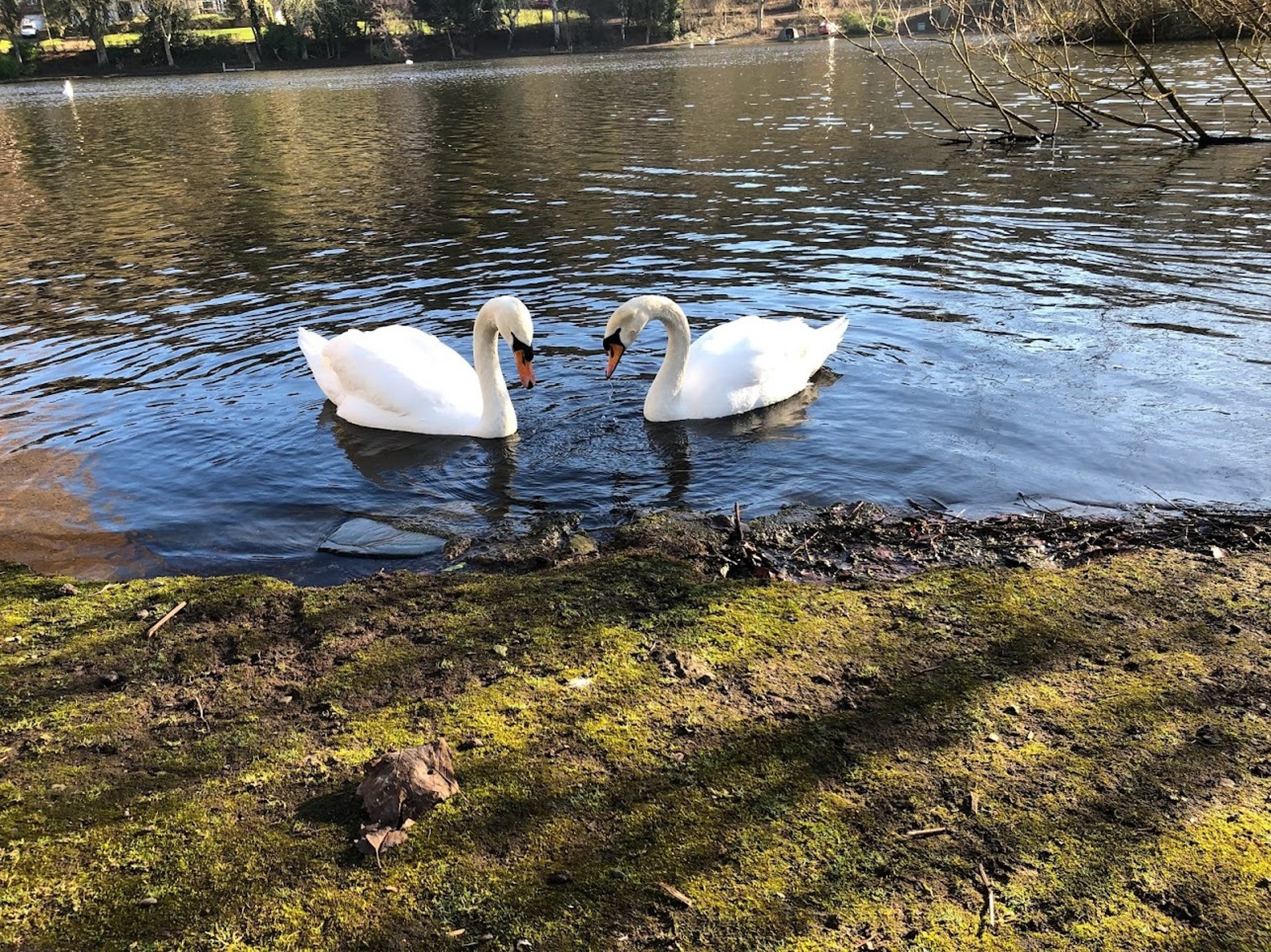 an abstract photo of a curved building with a blue sky in the background