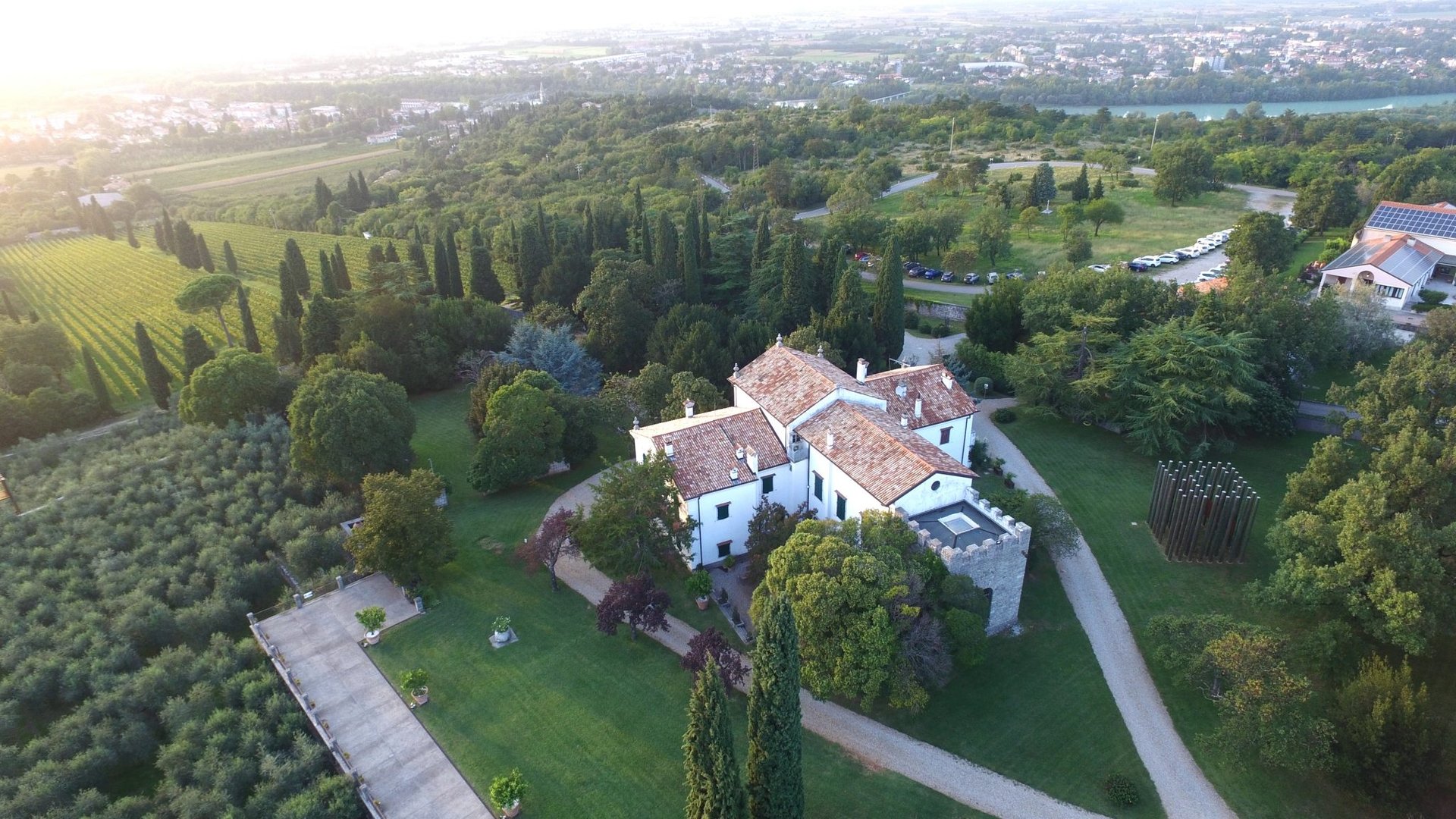 couple wearing silver-colored rings