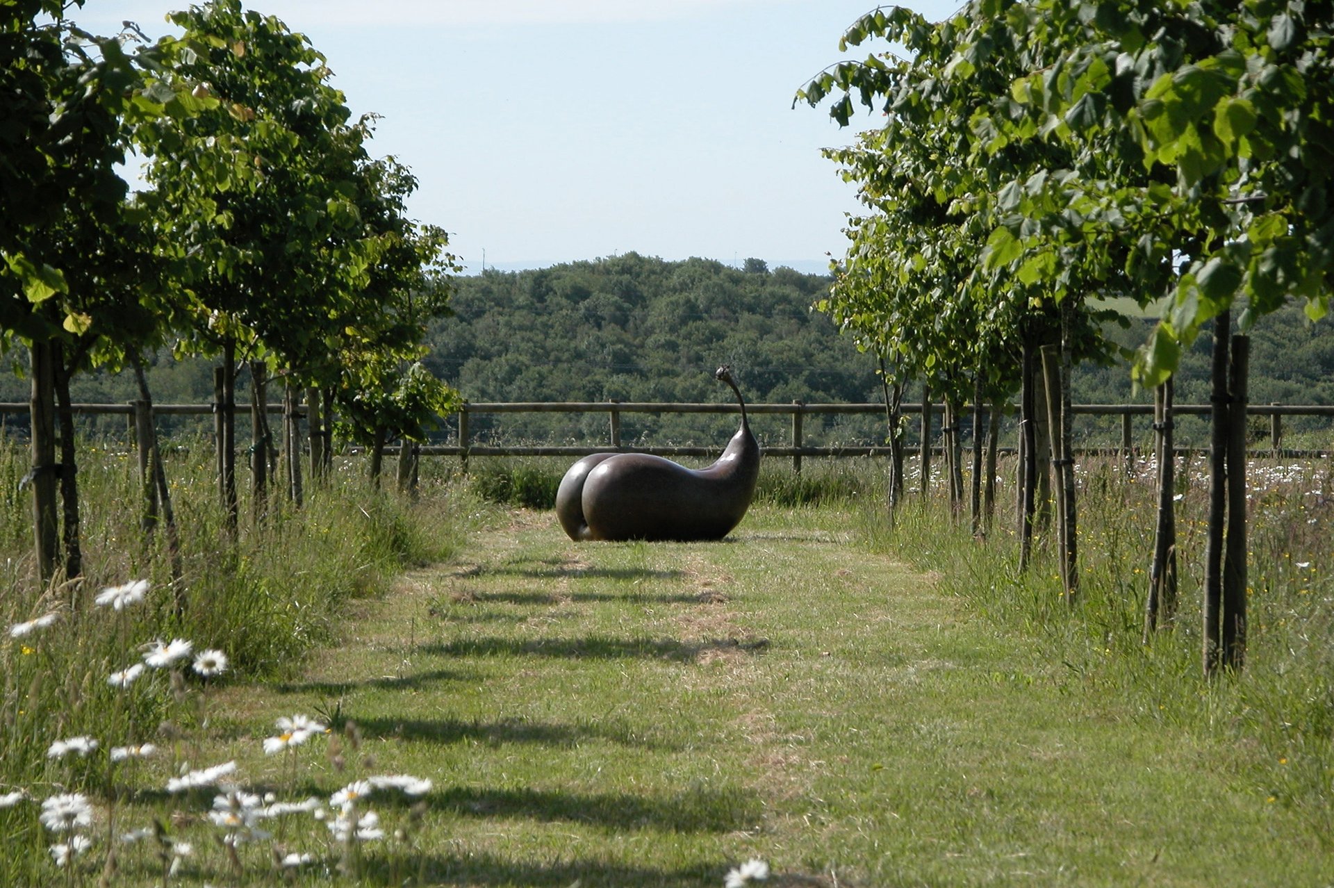 mountain range under blue sky