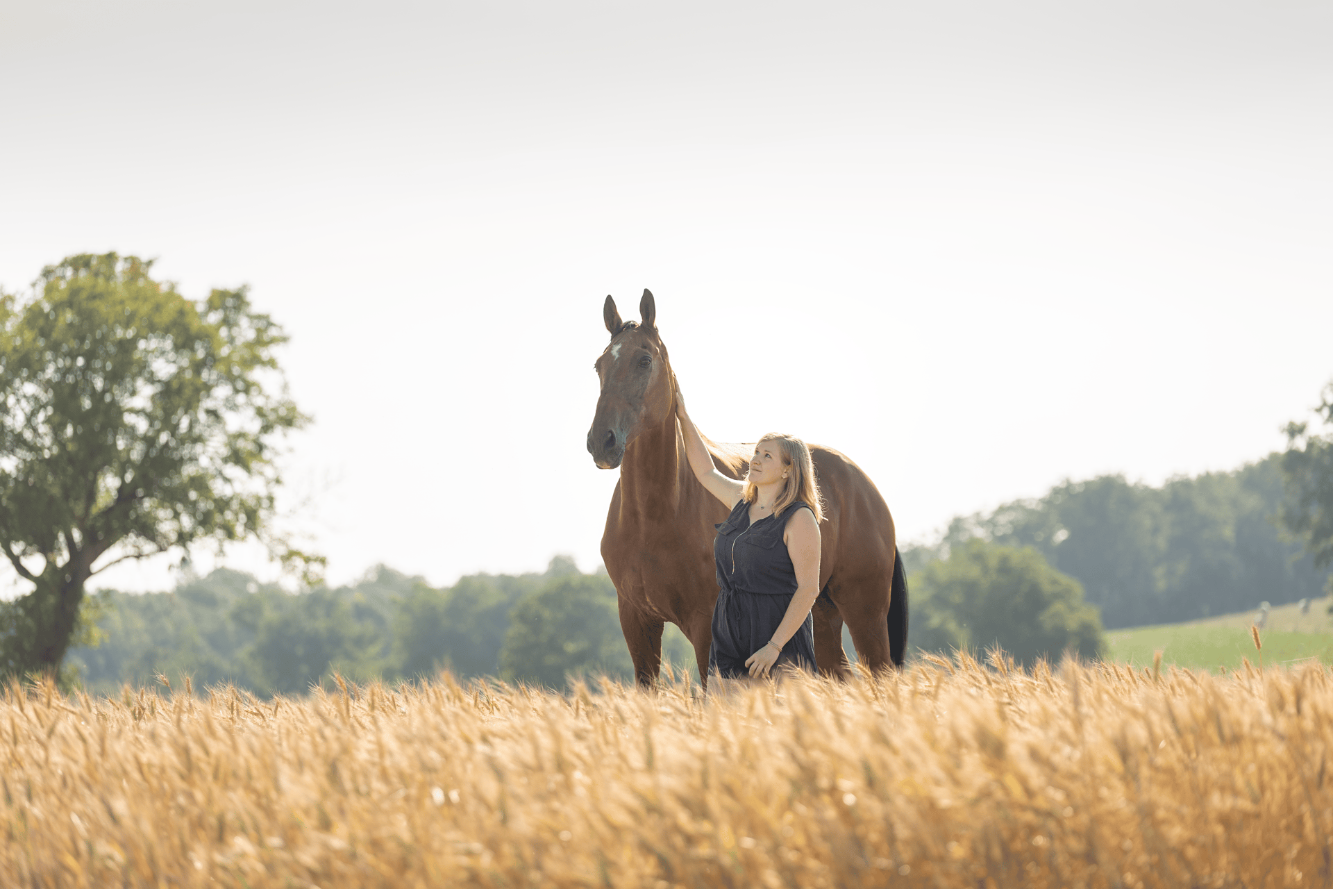 gray computer monitor