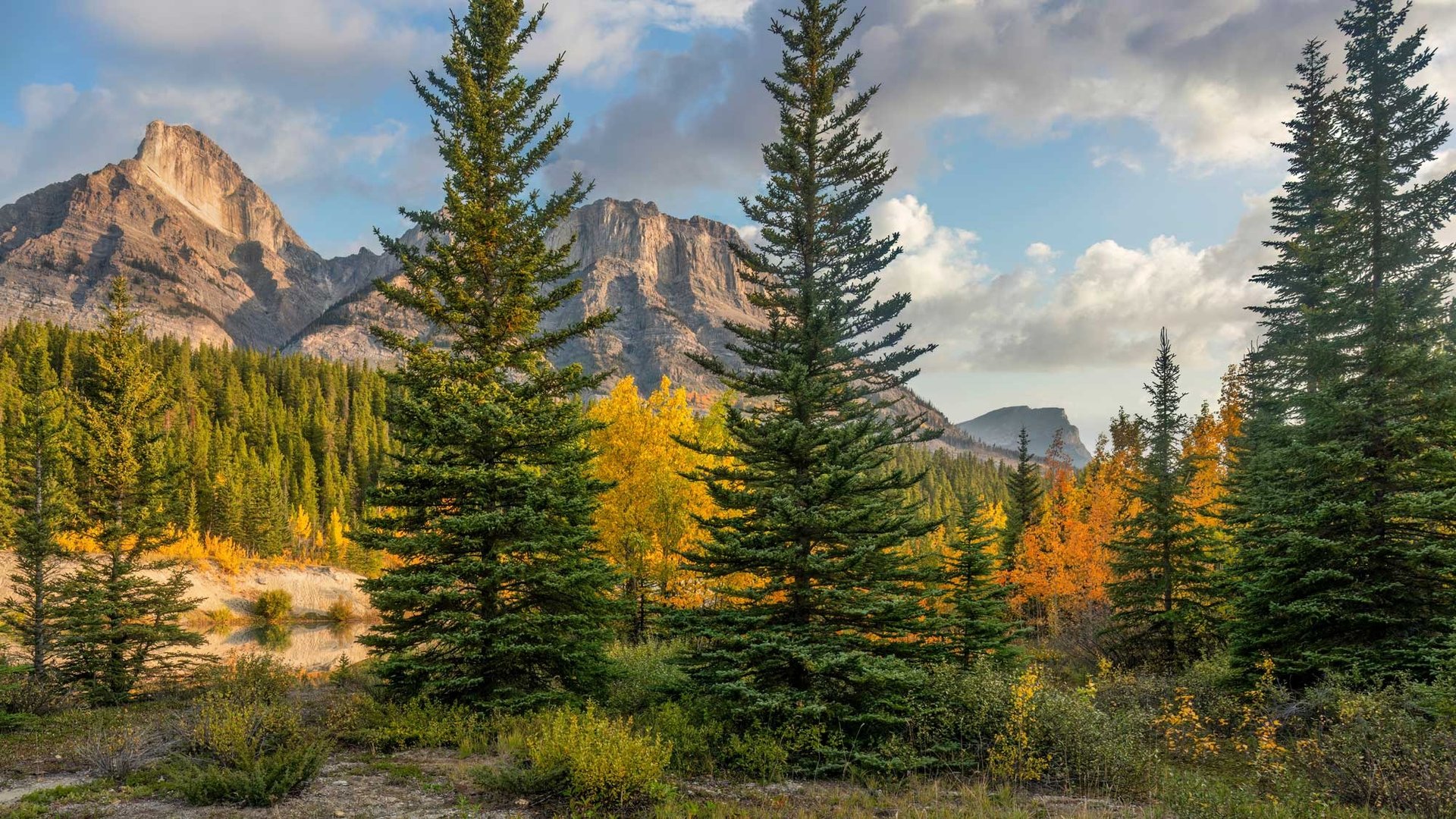 an abstract photo of a curved building with a blue sky in the background