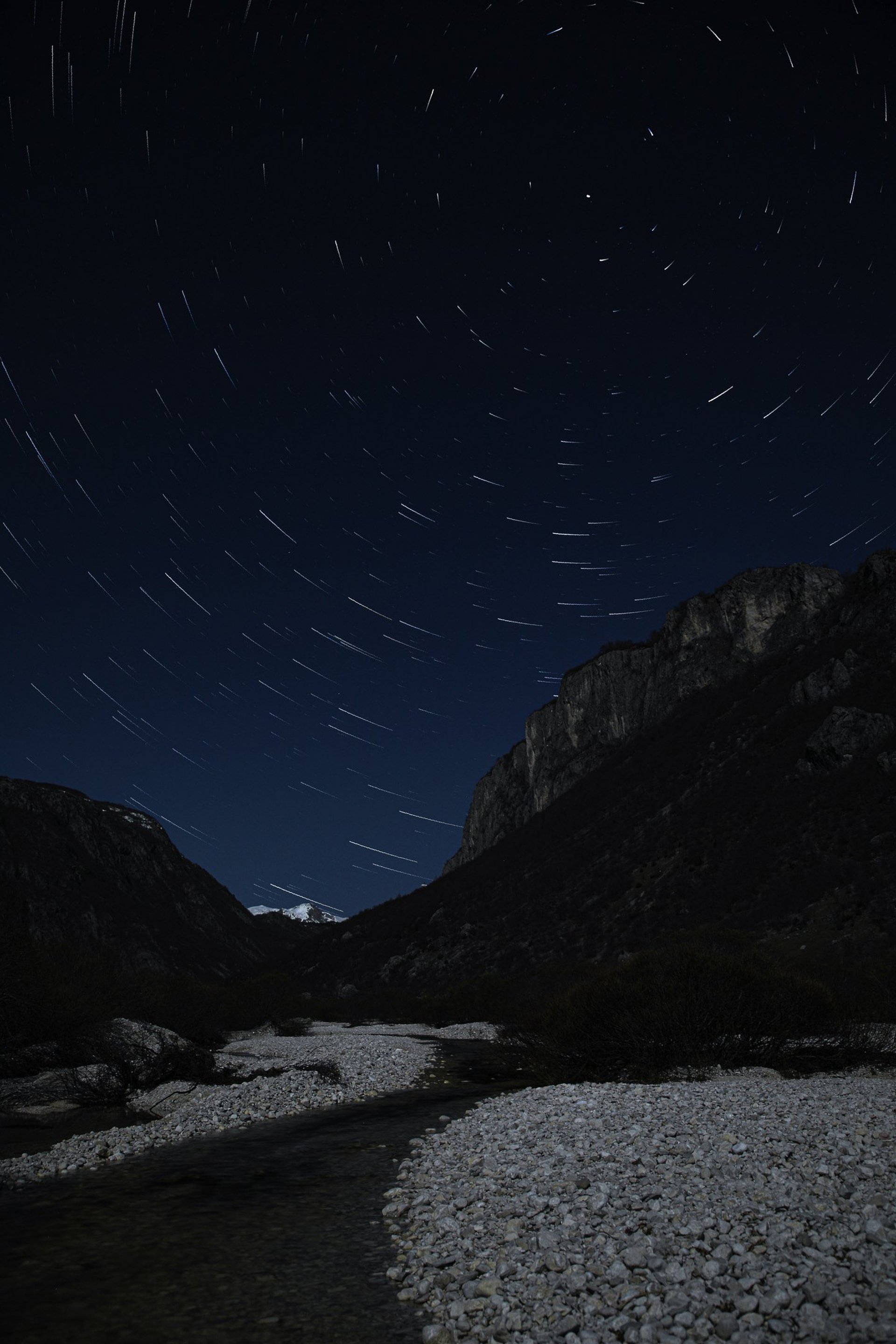 photo of forest under blue sky