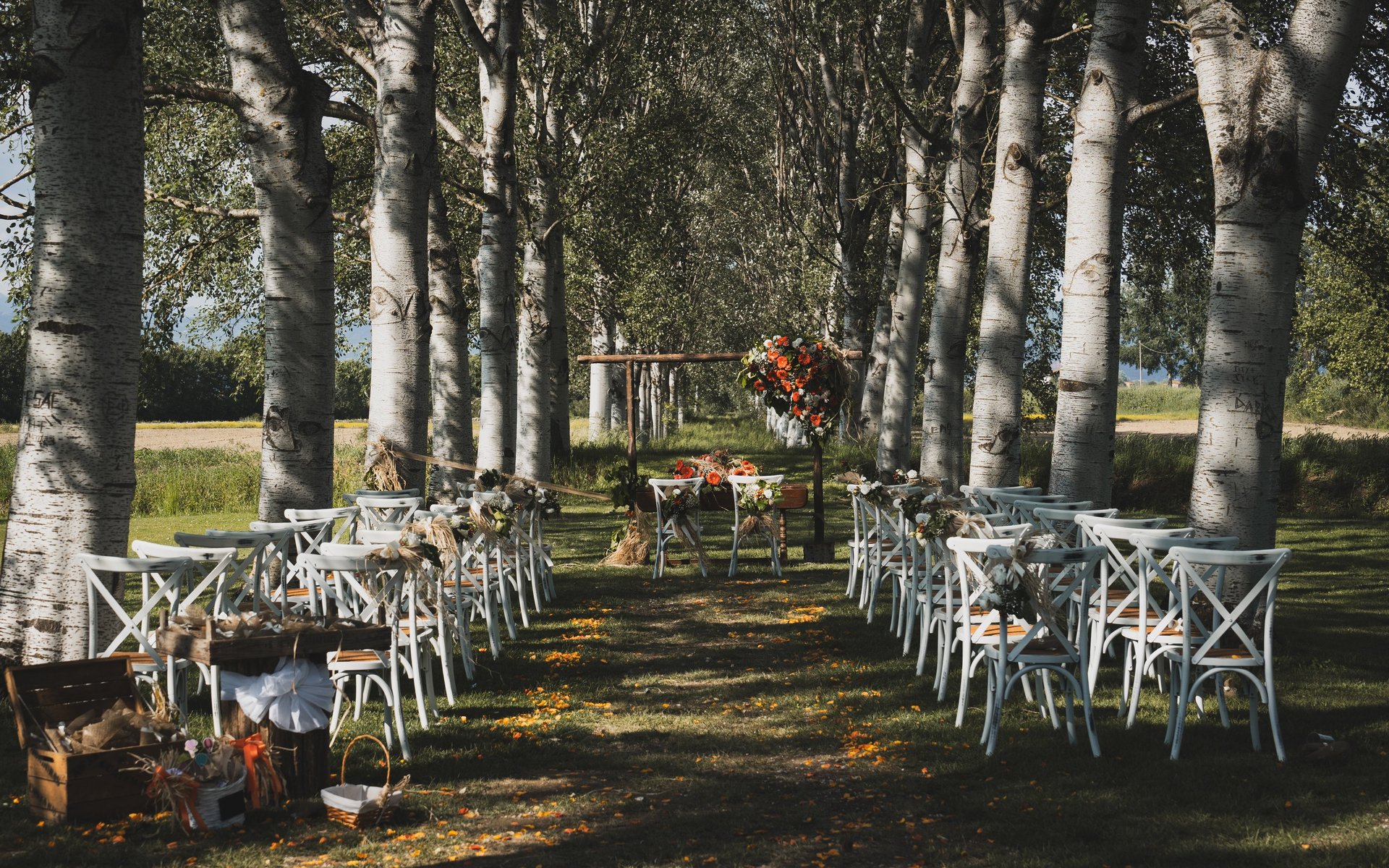 woman wearing yellow long-sleeved dress under white clouds and blue sky during daytime