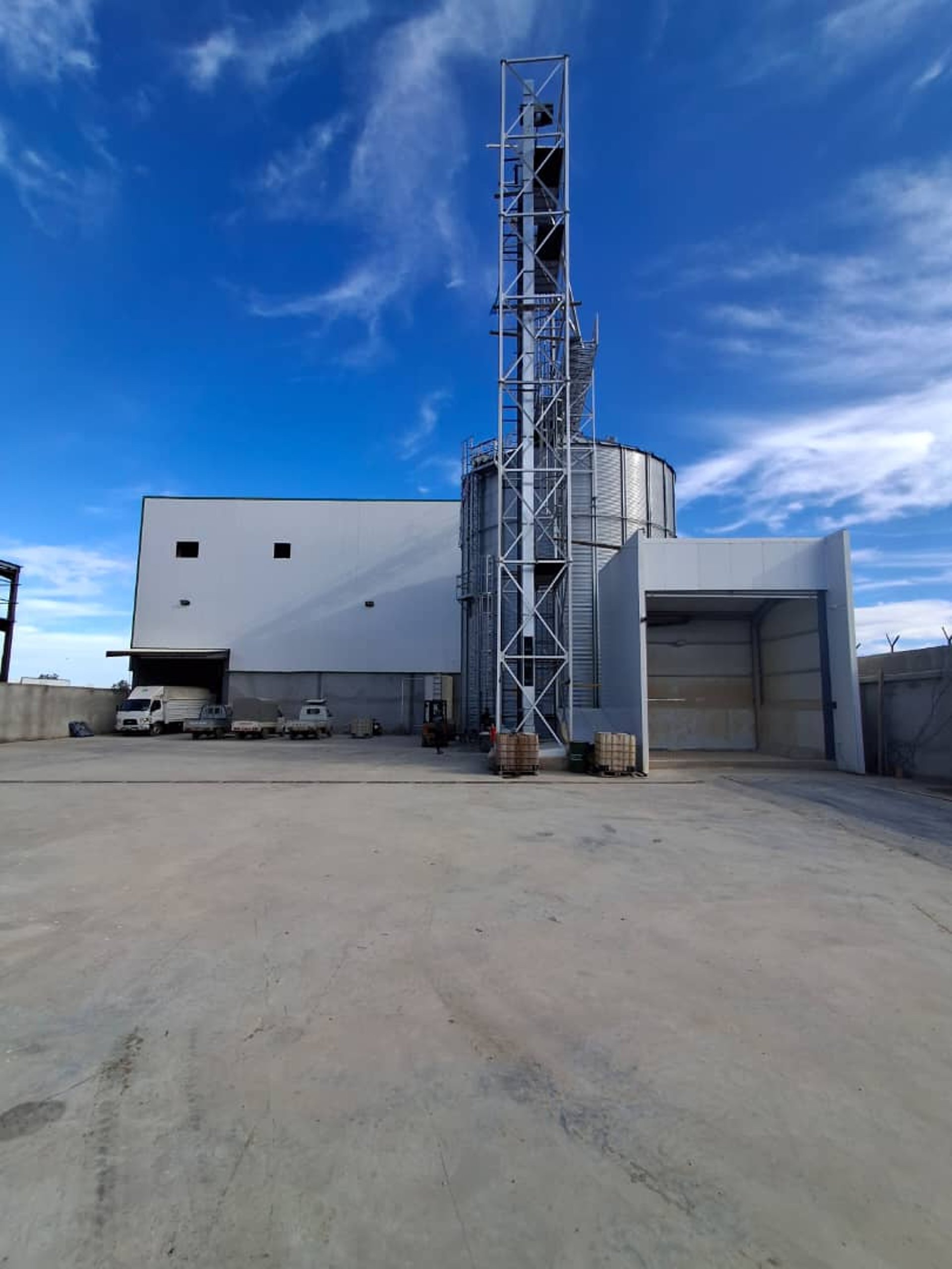woman wearing yellow long-sleeved dress under white clouds and blue sky during daytime