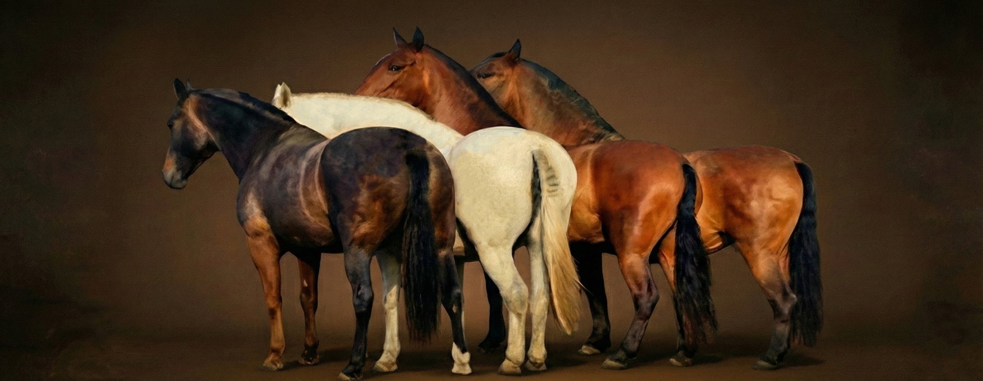 group of horses standing on field