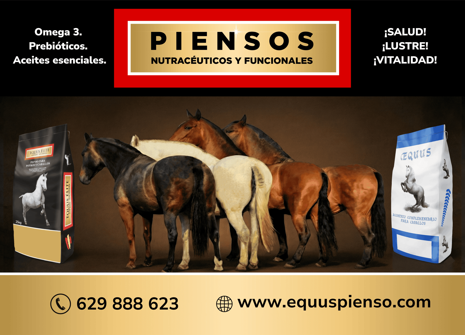 group of horses standing on field