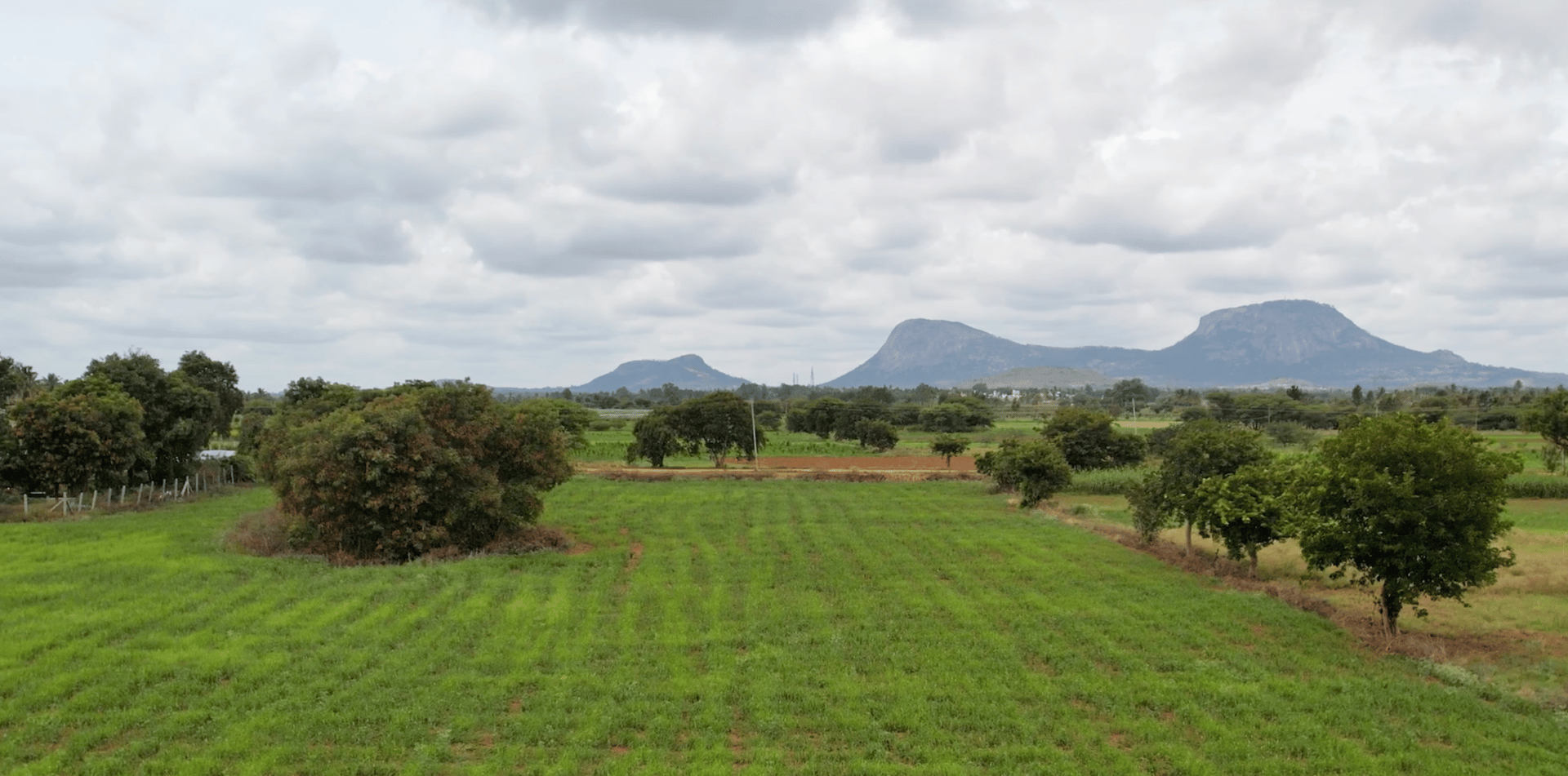 brown ceramic vase on brown wooden table