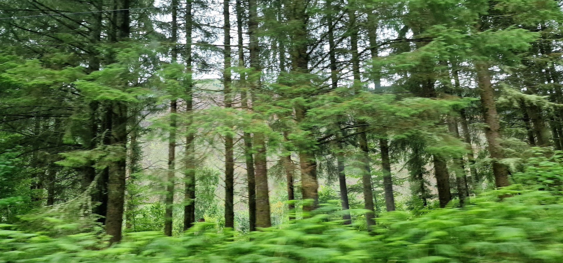black and brown leather padded tub sofa