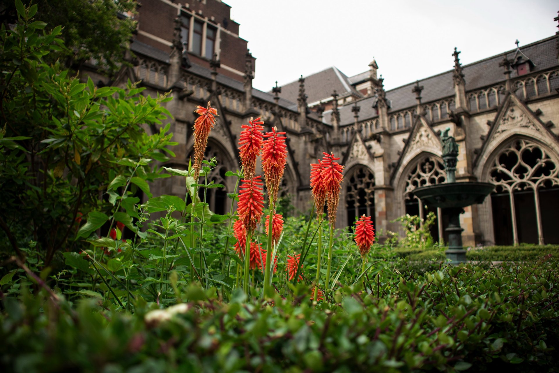 black and white bed linen