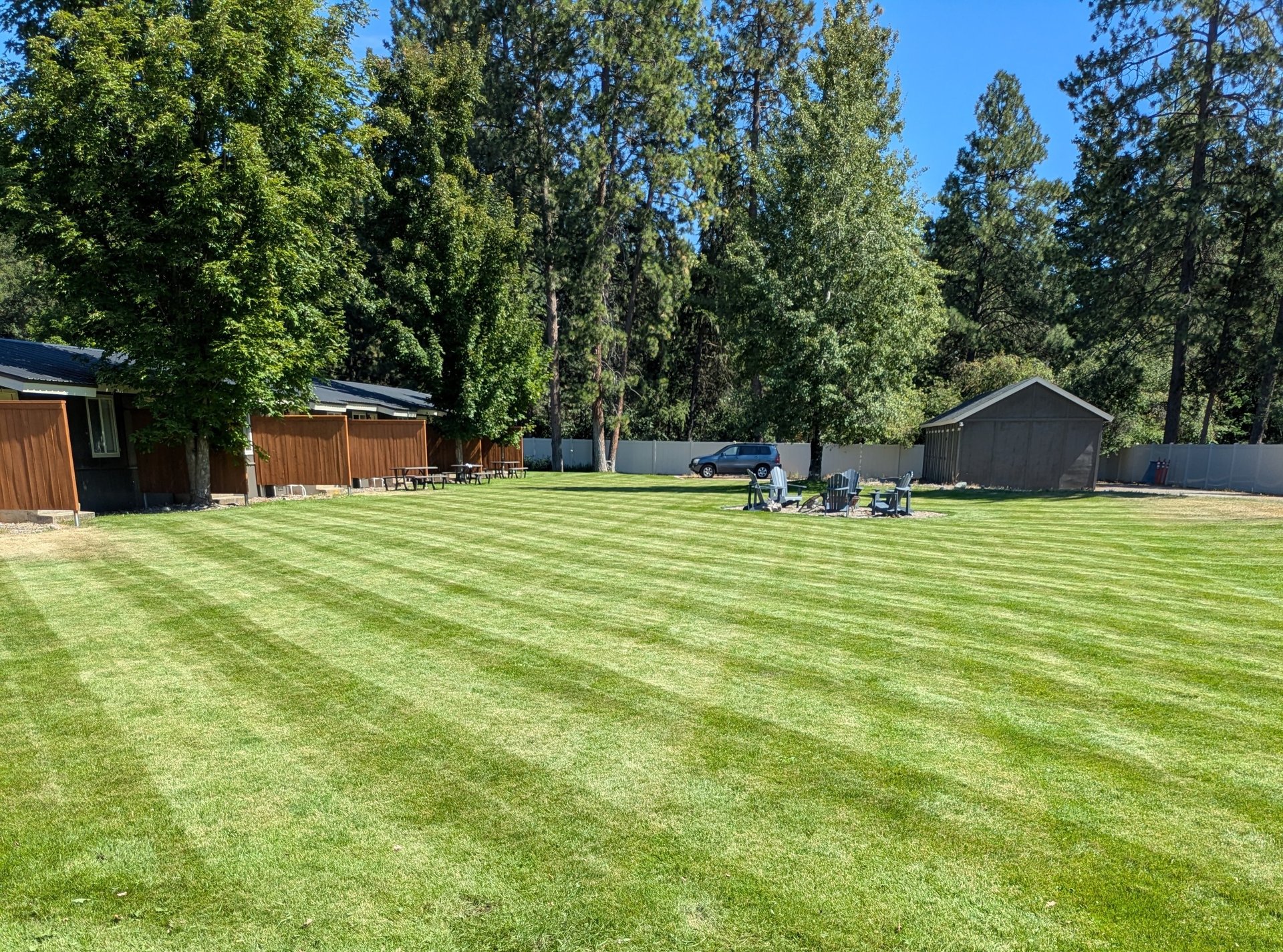 black and white bed linen
