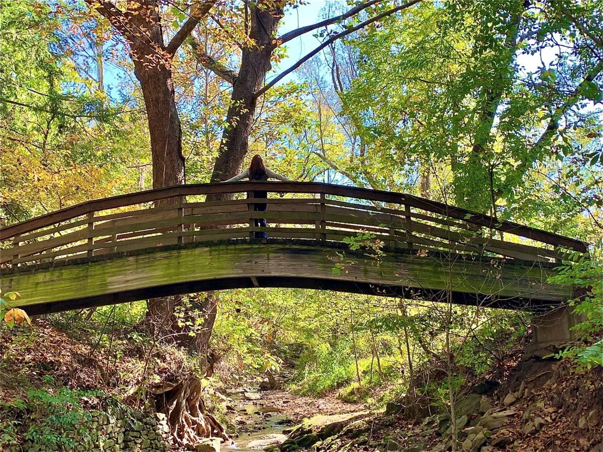 gray computer monitor