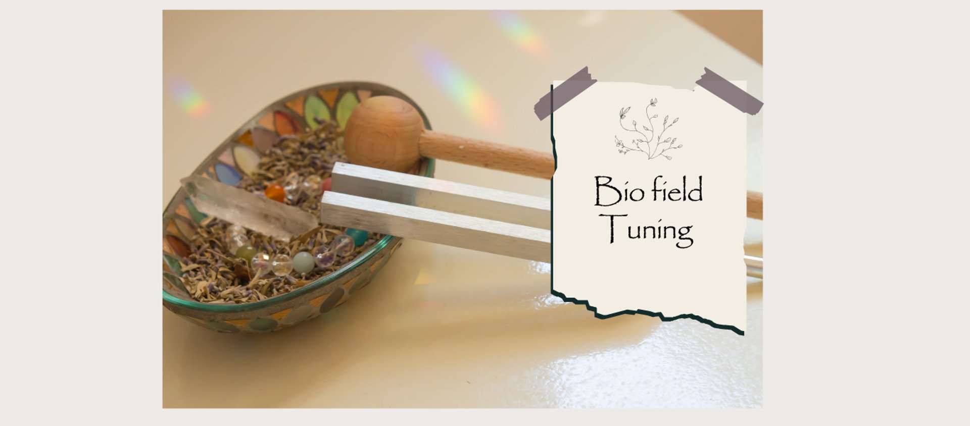 Rootedology Bio Field Tuning with tuning forks