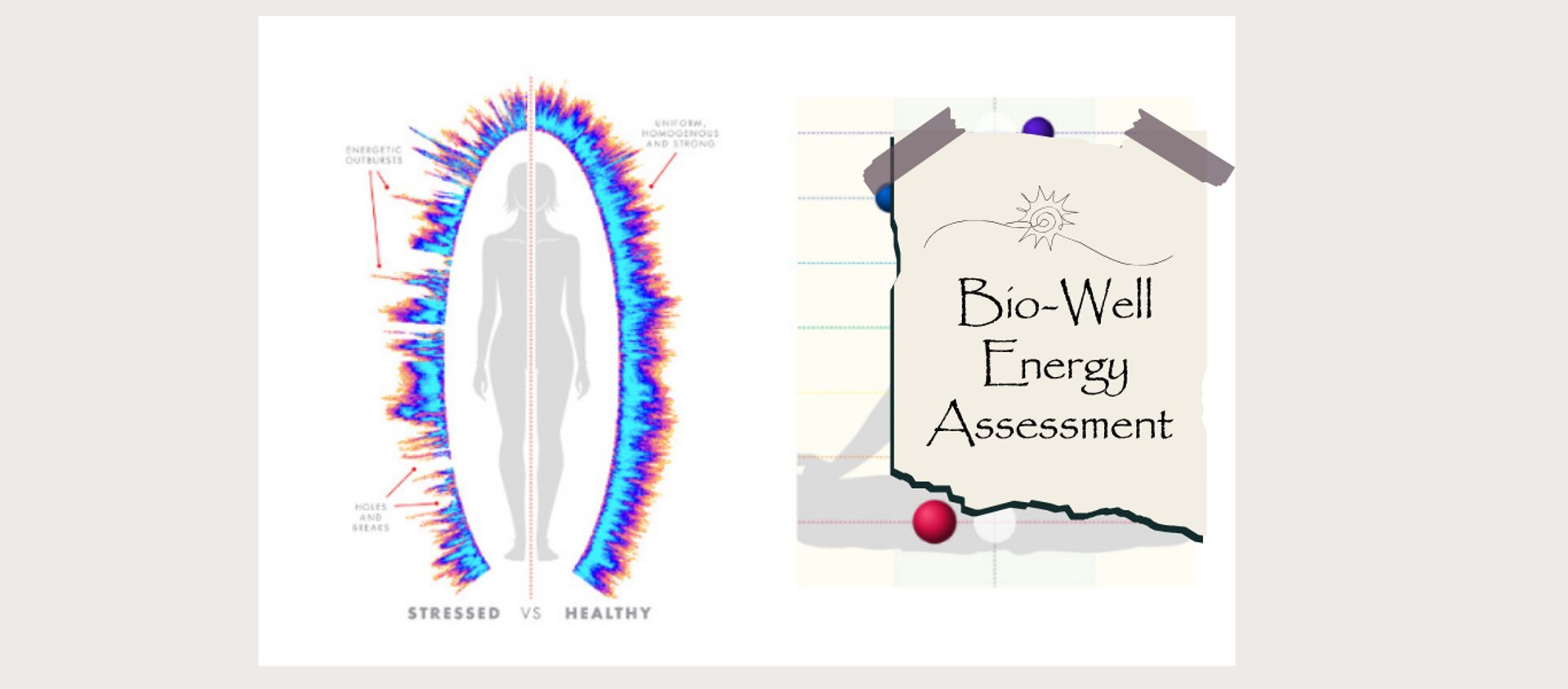 Rootedology Bio-Well Energy Assessment Session