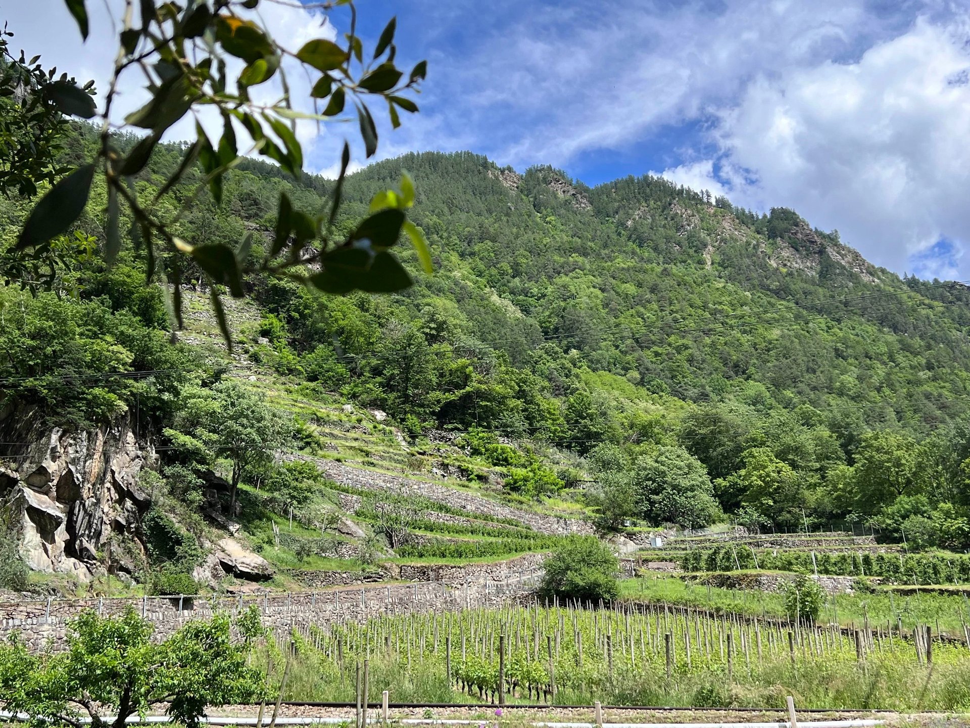 black blue and yellow textile