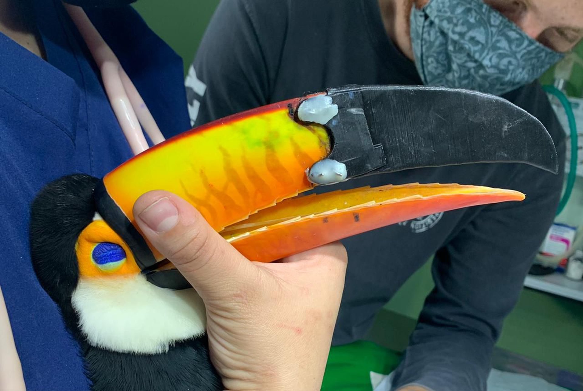 black and white bed linen