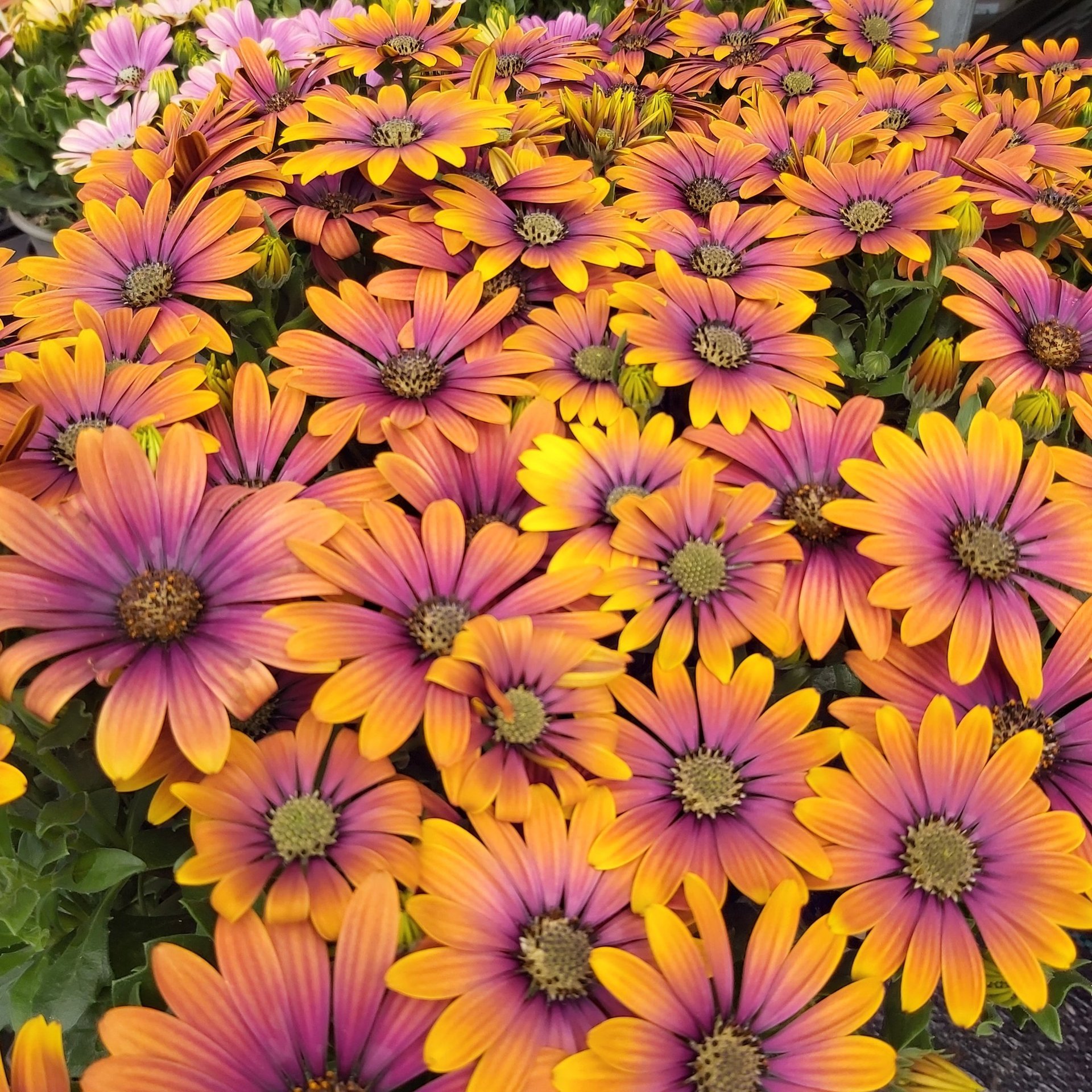 an abstract photo of a curved building with a blue sky in the background