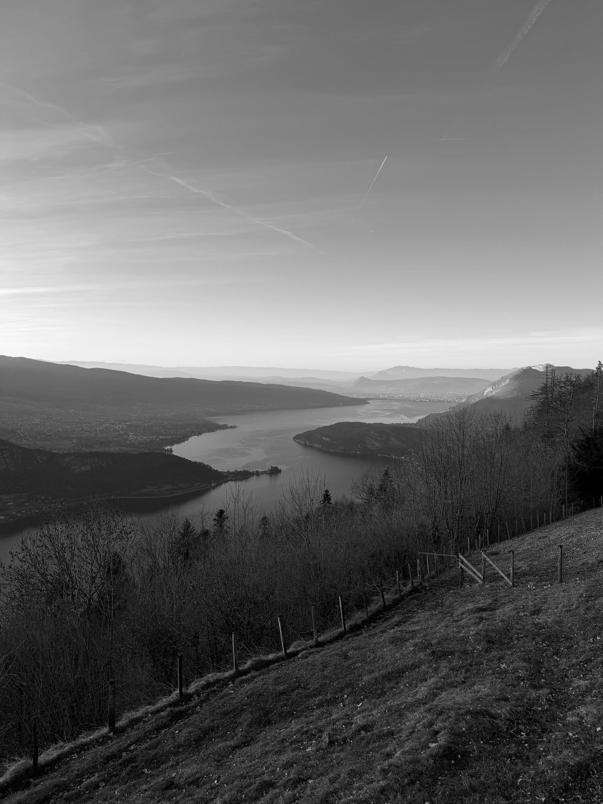 black and brown leather padded tub sofa