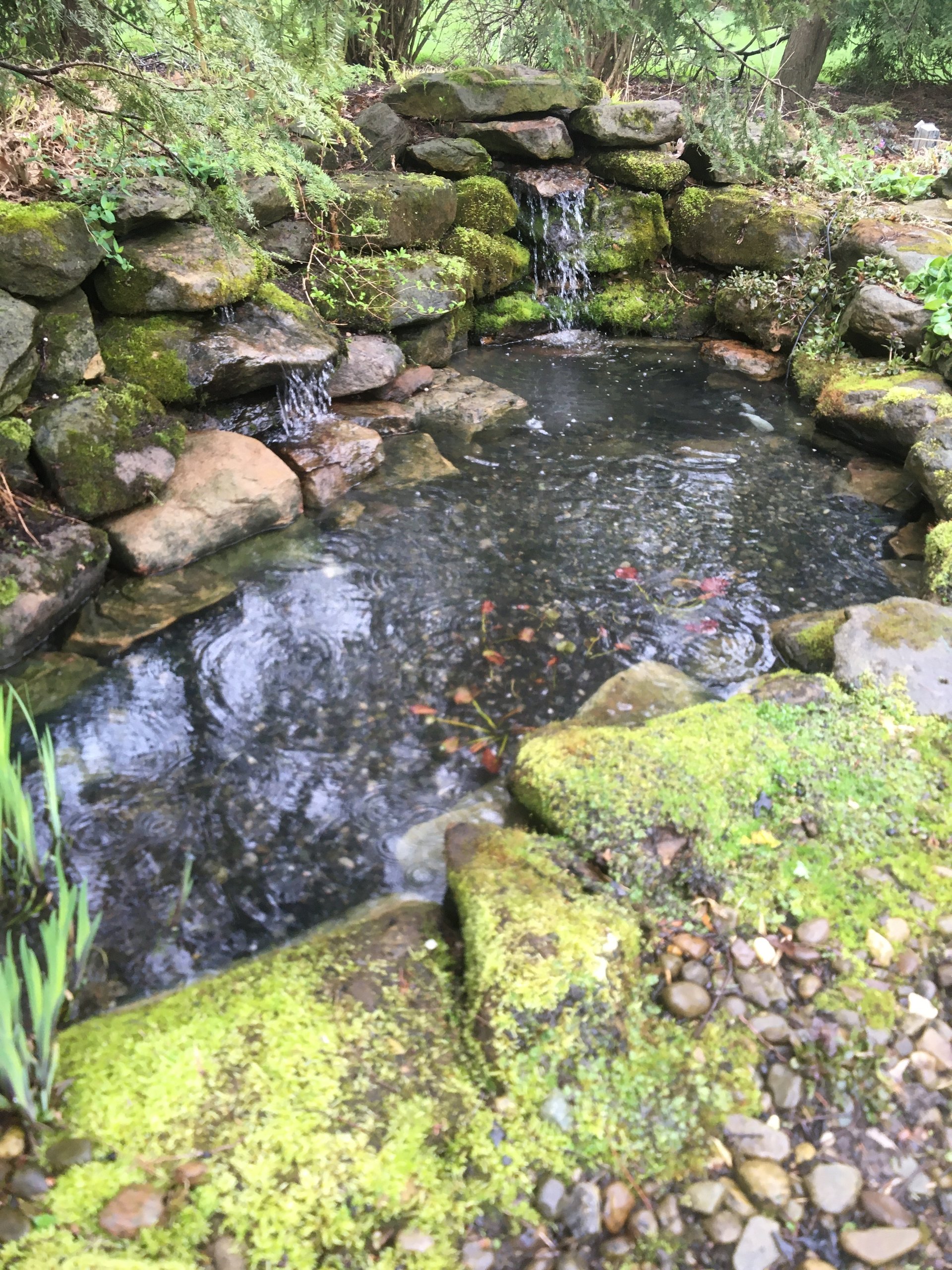 woman wearing yellow long-sleeved dress under white clouds and blue sky during daytime