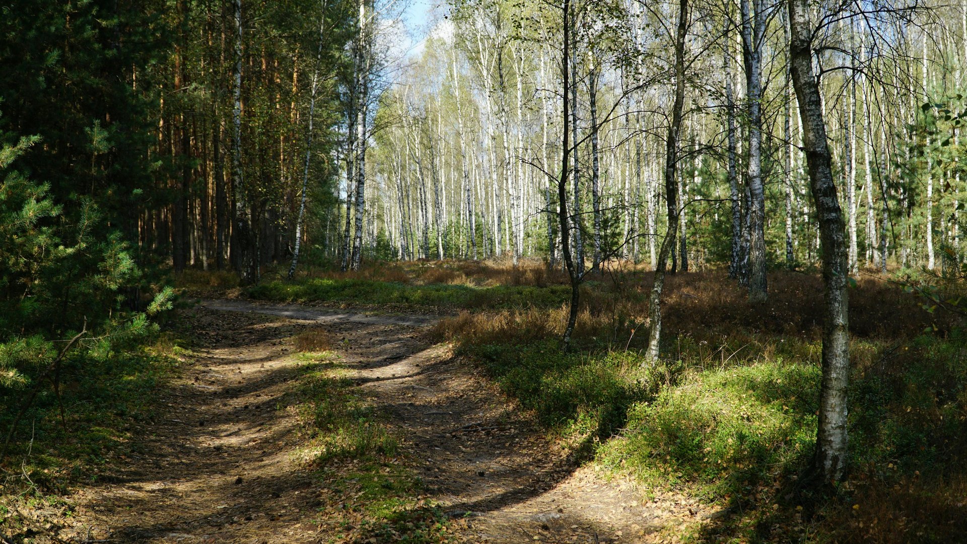 2 people hiking on mountain during daytime