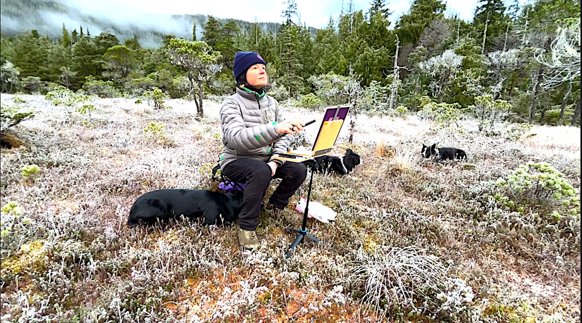 gray computer monitor