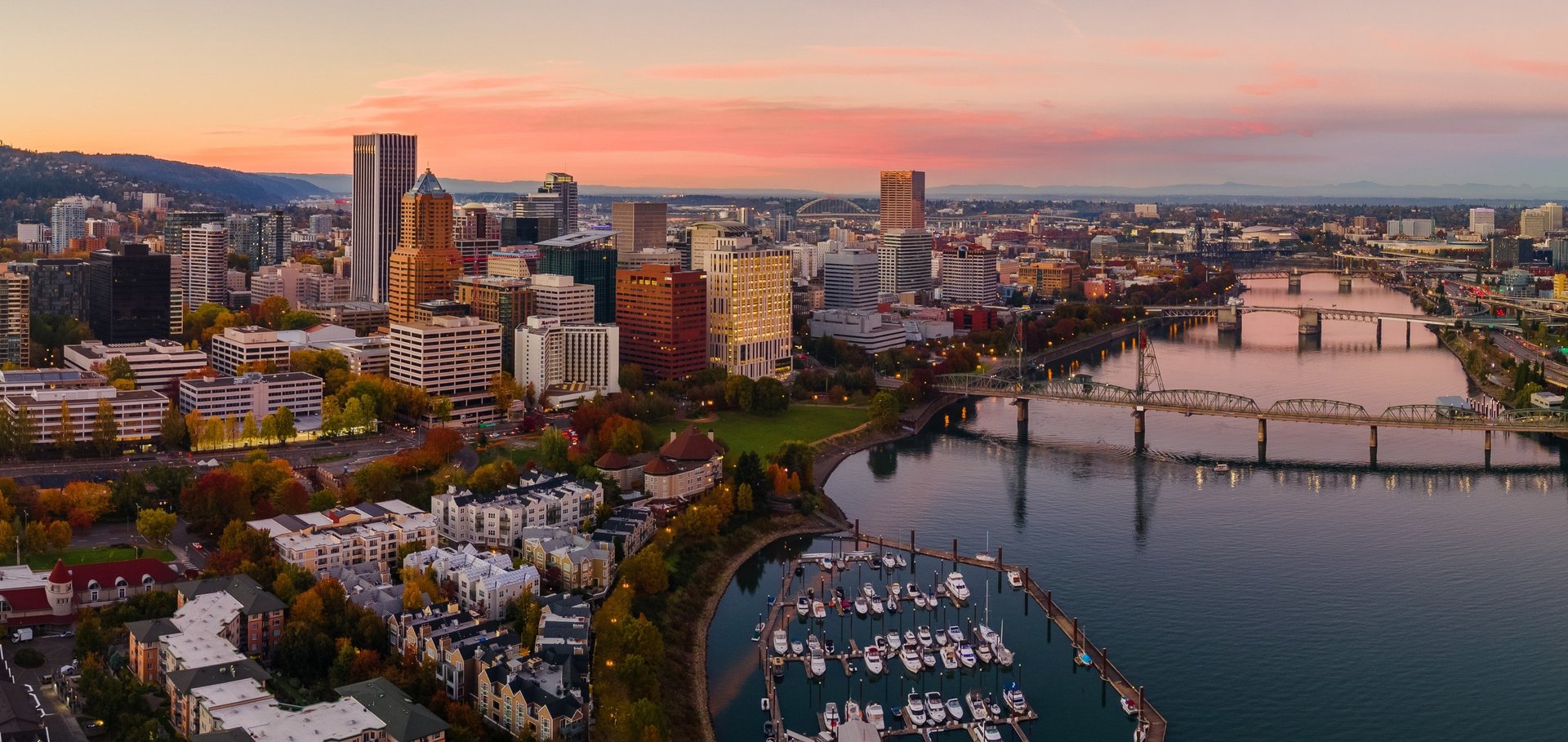 black and brown leather padded tub sofa