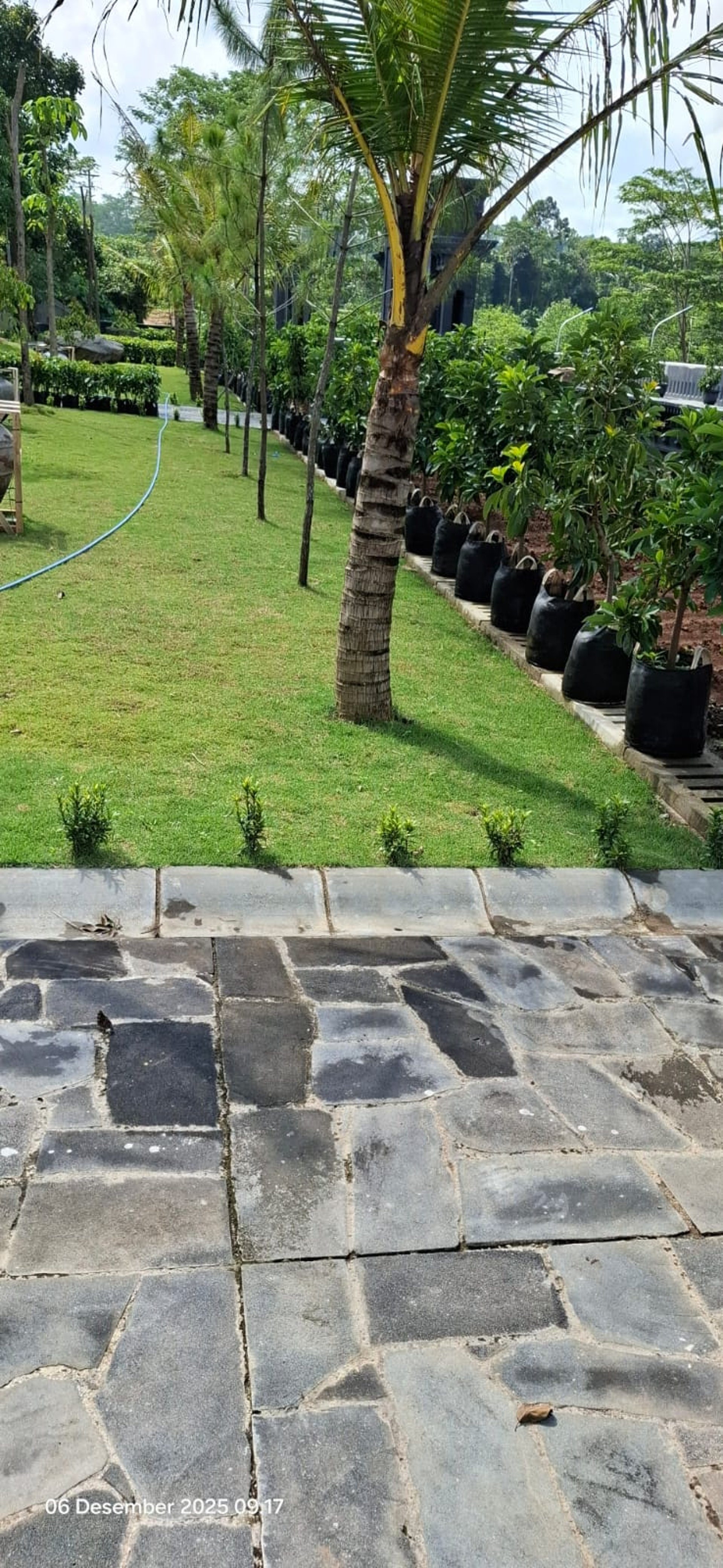 person wearing grey knit sweater