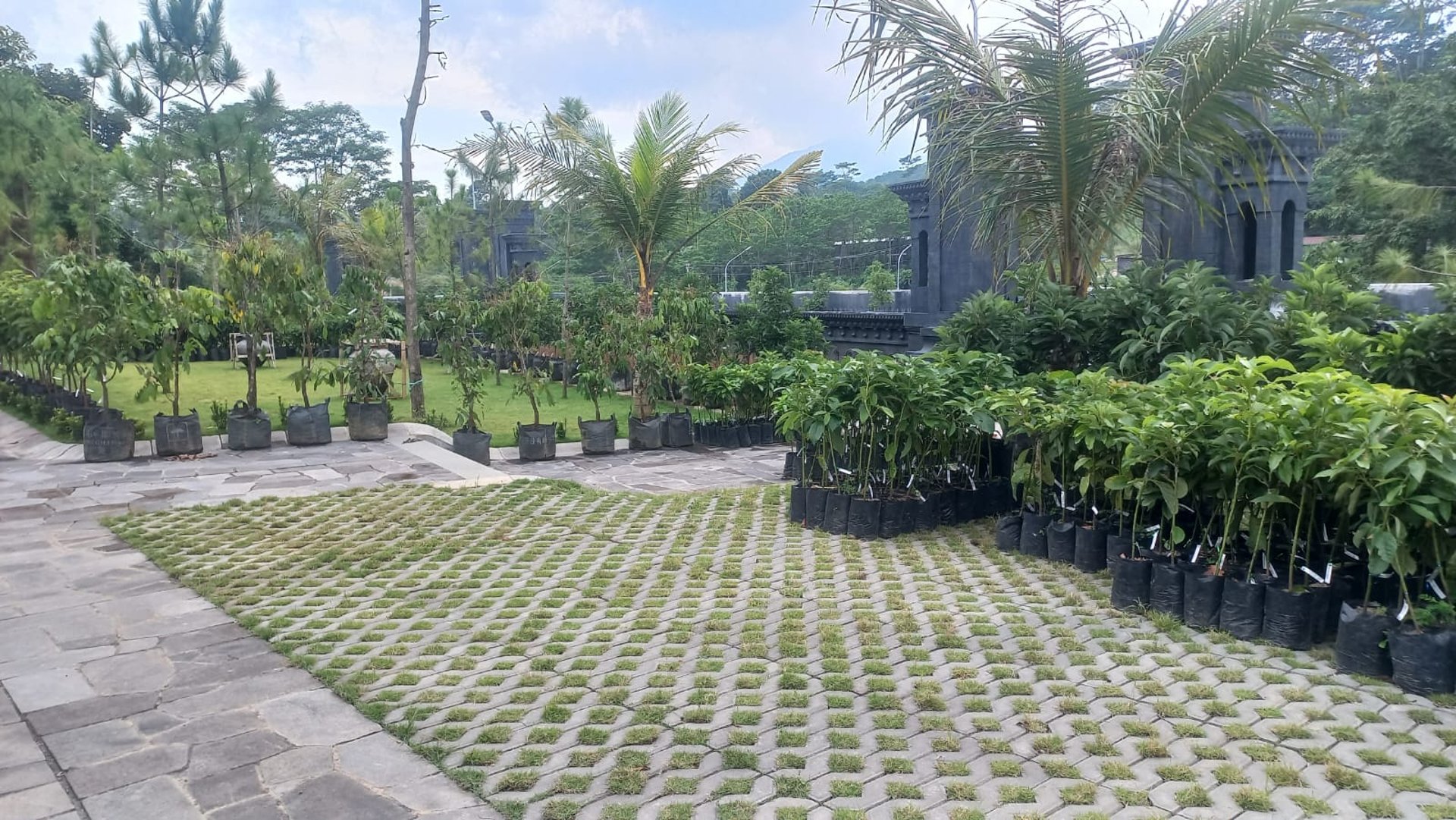 woman wearing yellow long-sleeved dress under white clouds and blue sky during daytime