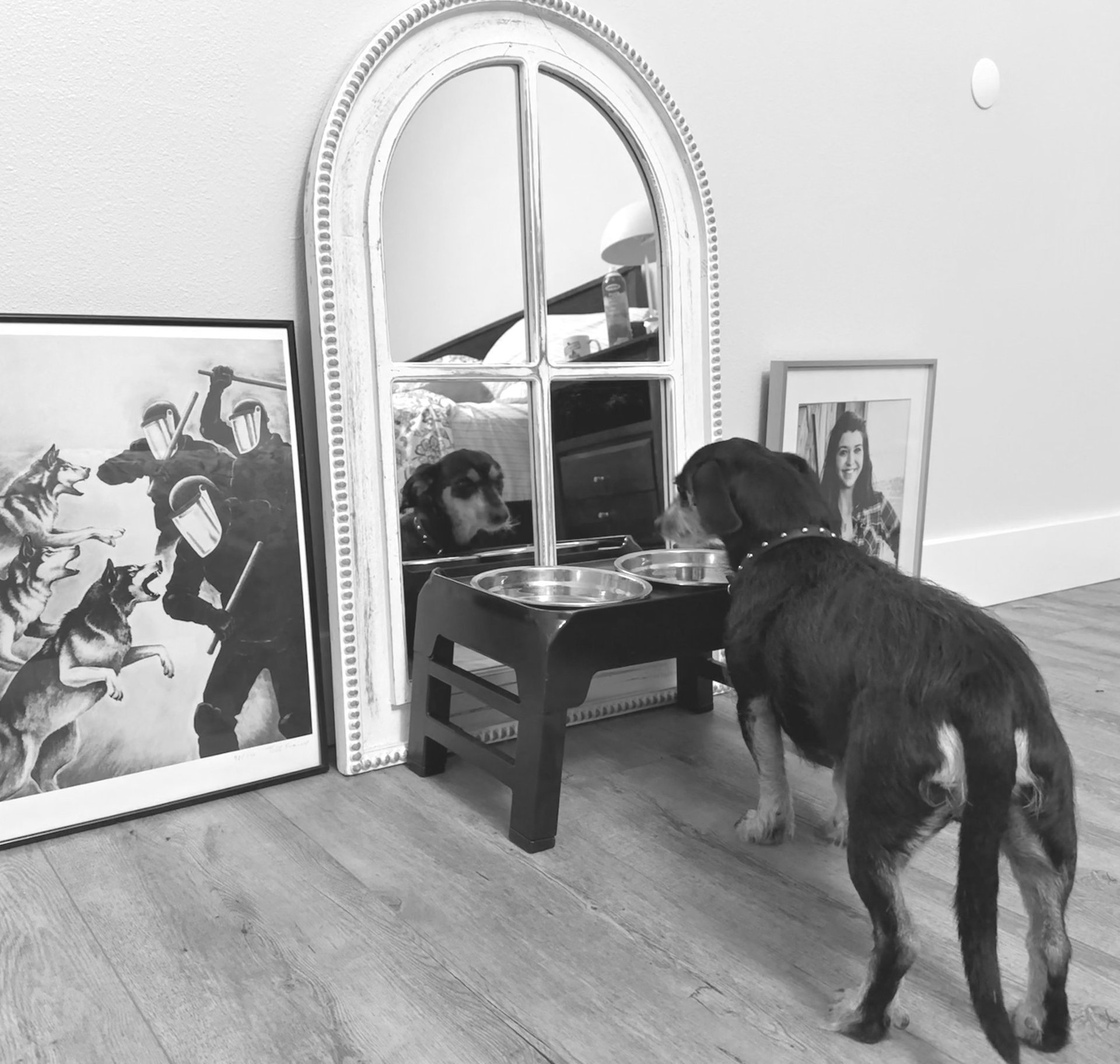 black and white bed linen