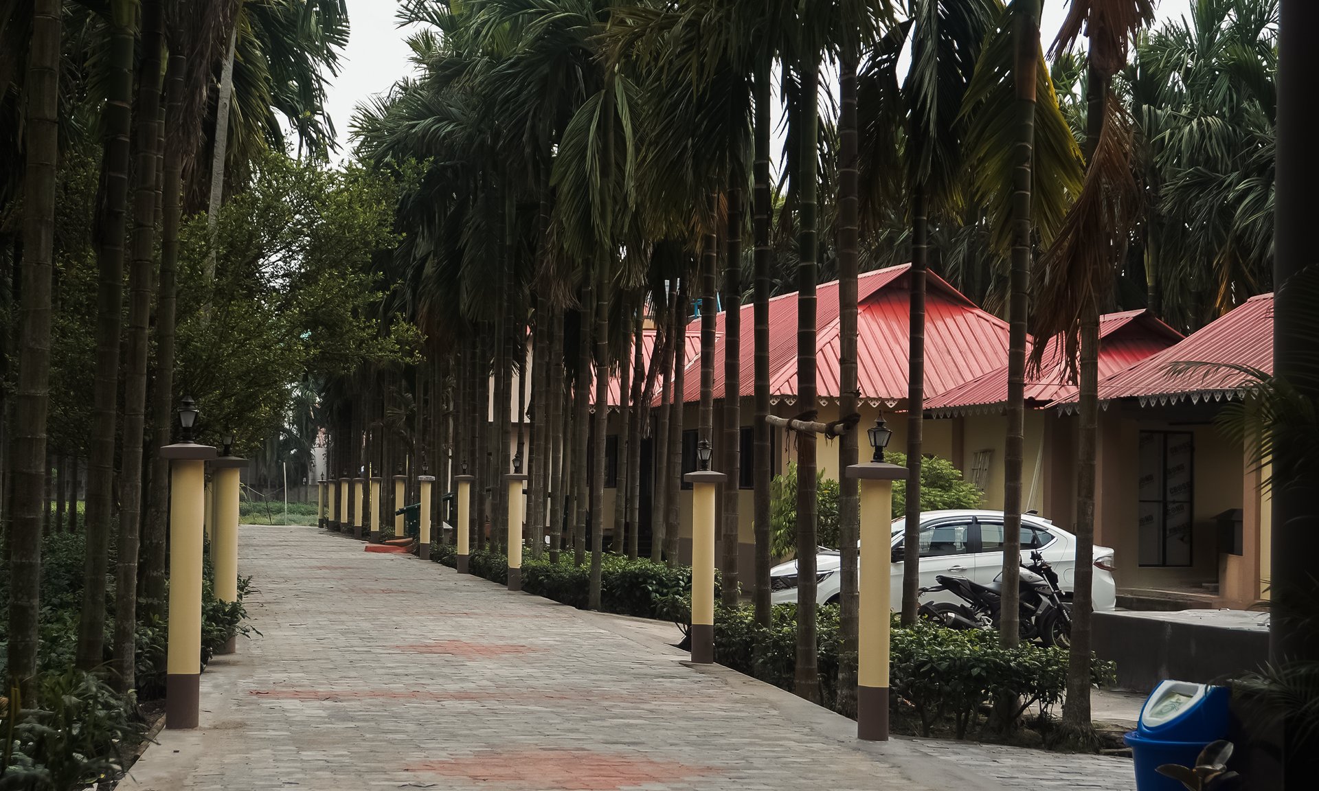 an abstract photo of a curved building with a blue sky in the background