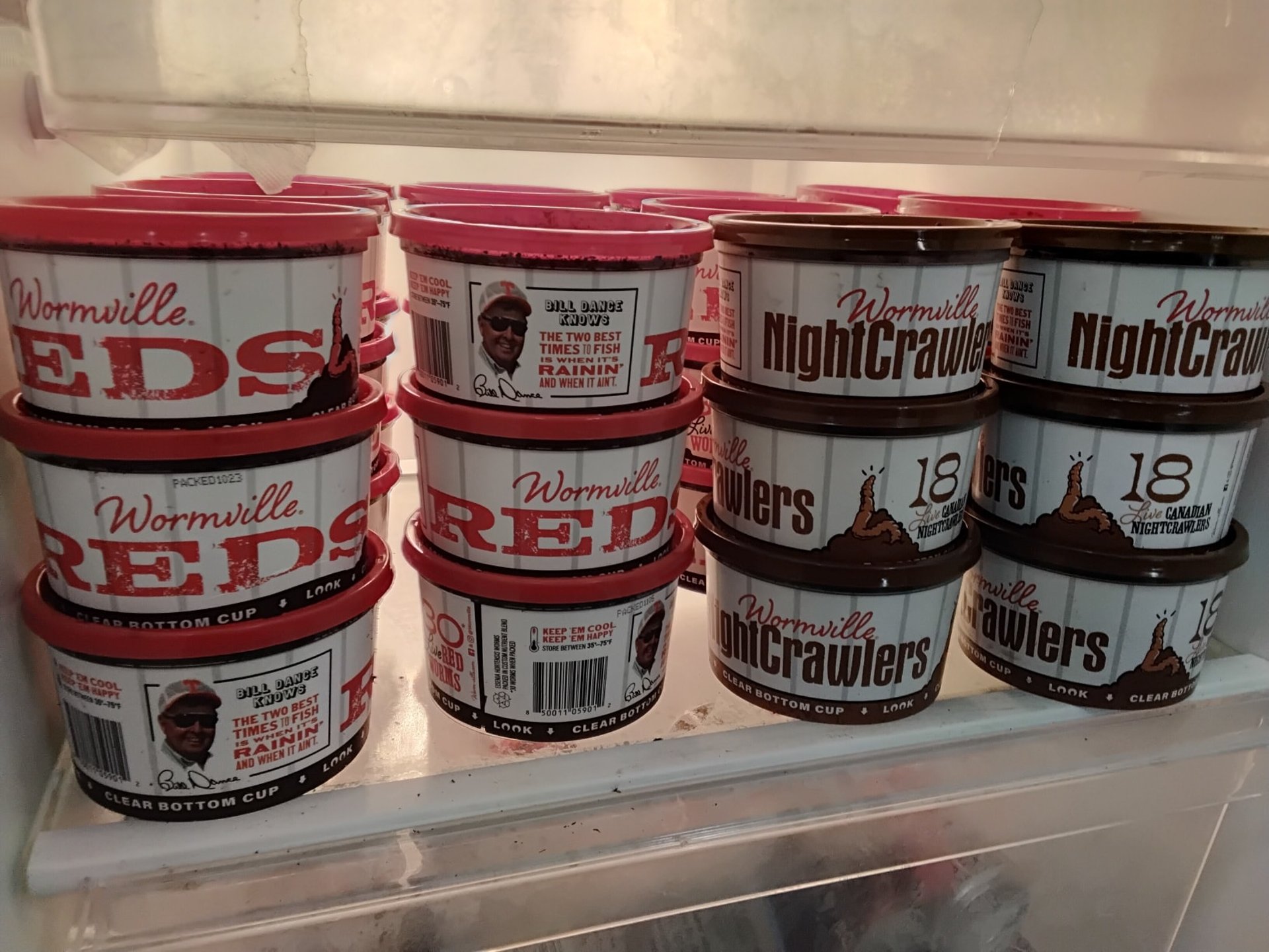 woman wearing yellow long-sleeved dress under white clouds and blue sky during daytime