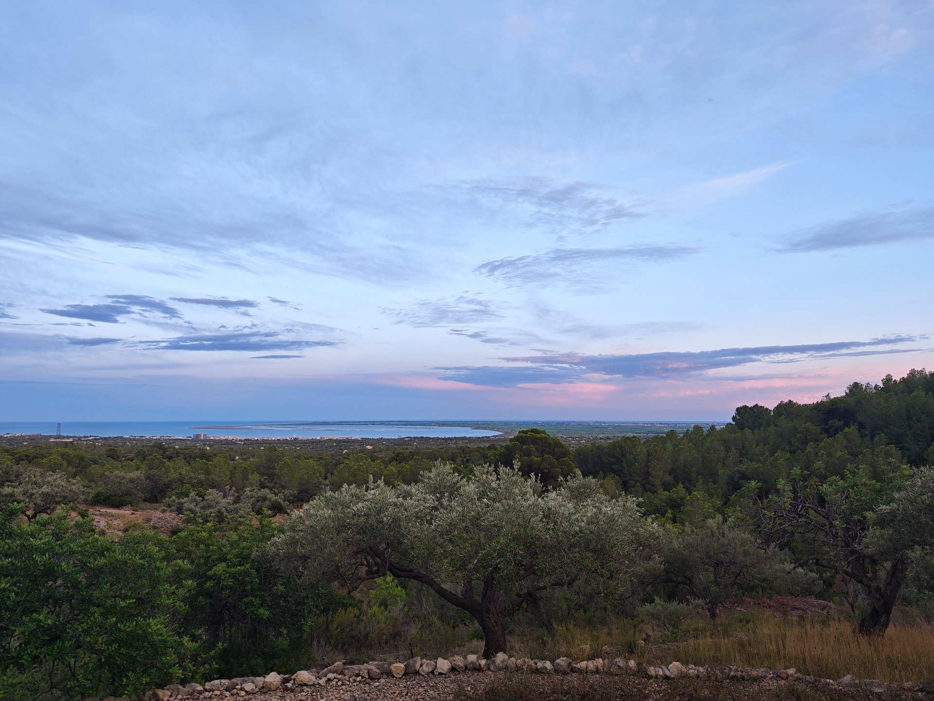 gray computer monitor