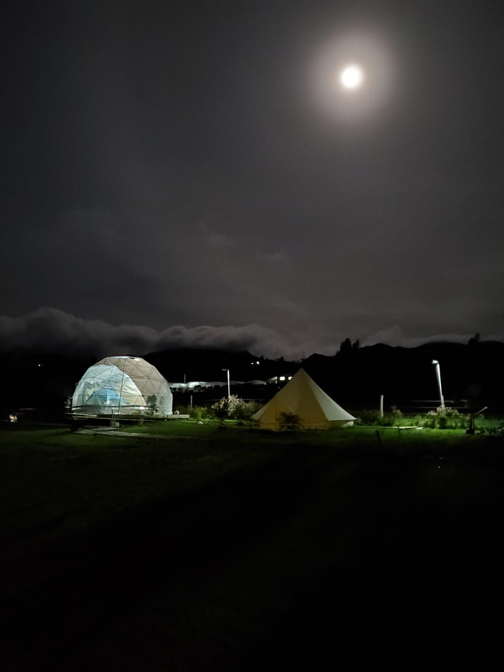an abstract photo of a curved building with a blue sky in the background