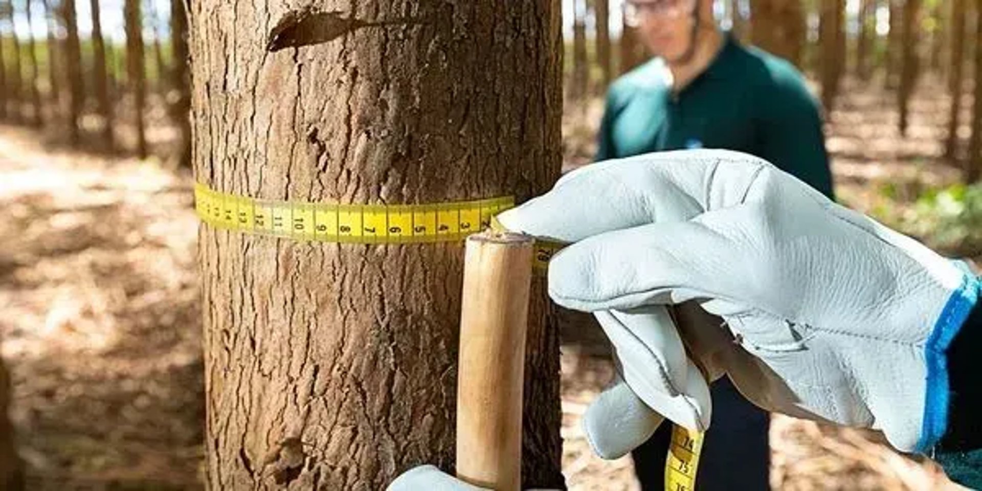 gray computer monitor