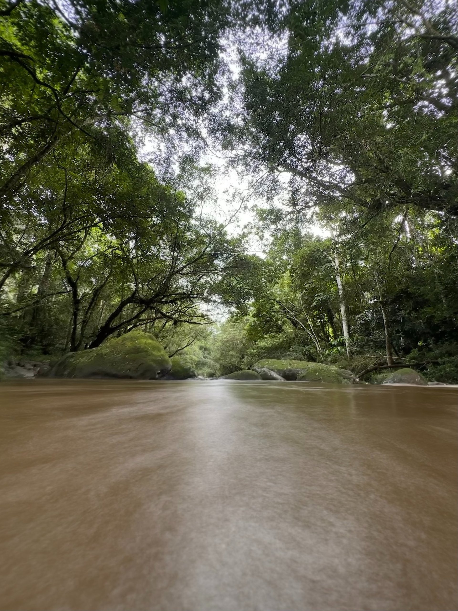 gray computer monitor